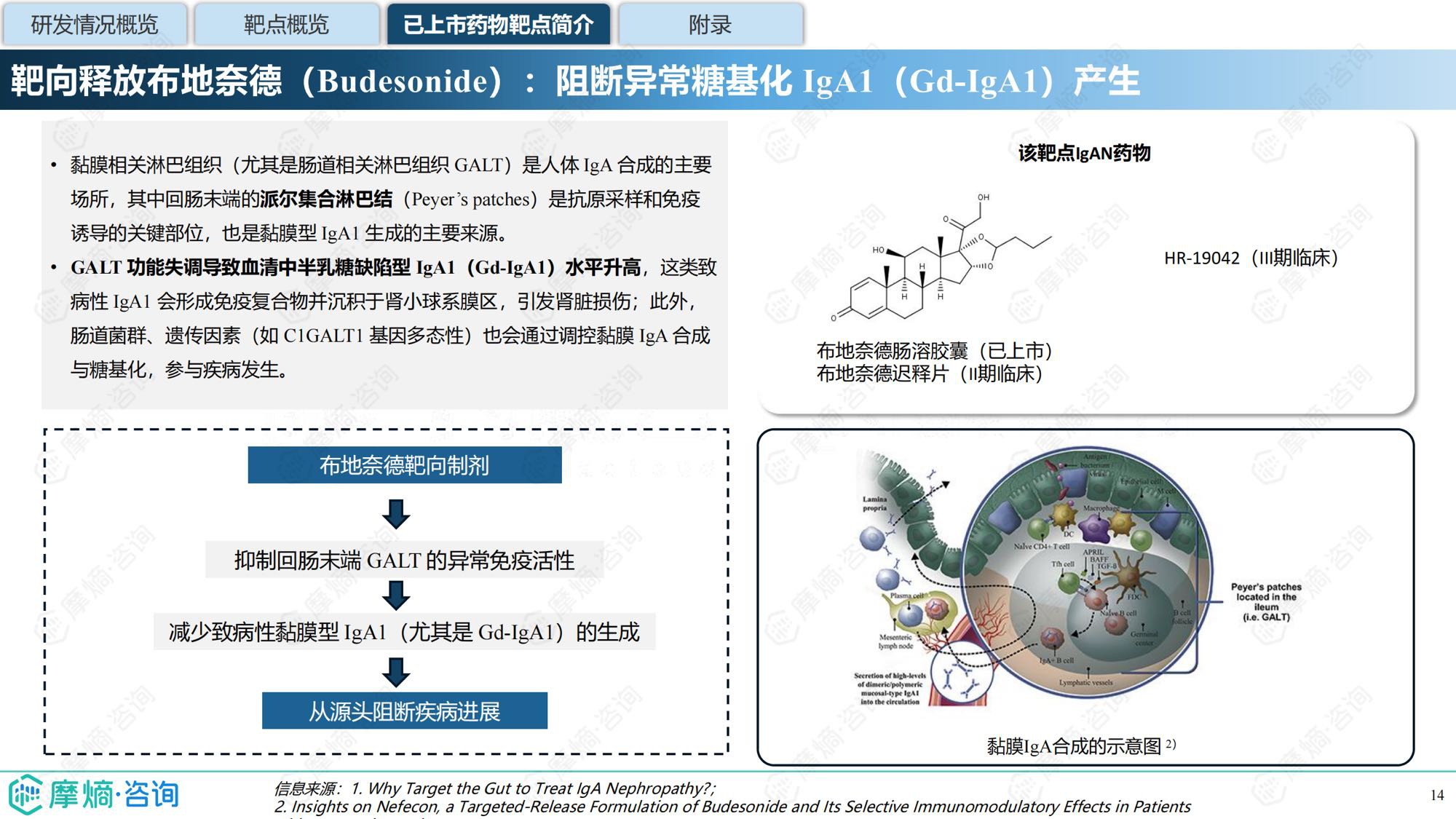 摩熵咨询2025年IgA肾病药物研发全景及已上市药物市场竞争格局报告31页.pdf