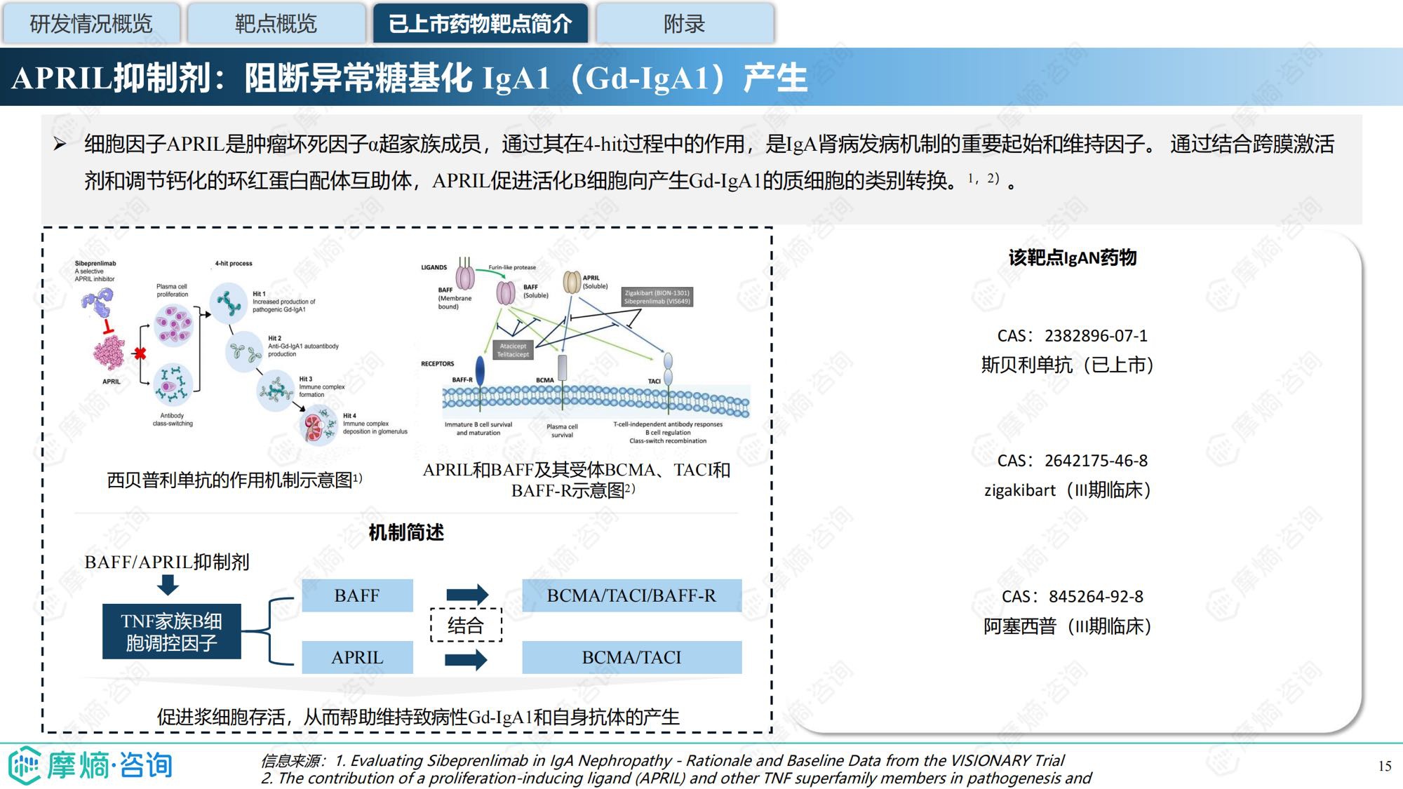 摩熵咨询2025年IgA肾病药物研发全景及已上市药物市场竞争格局报告31页.pdf