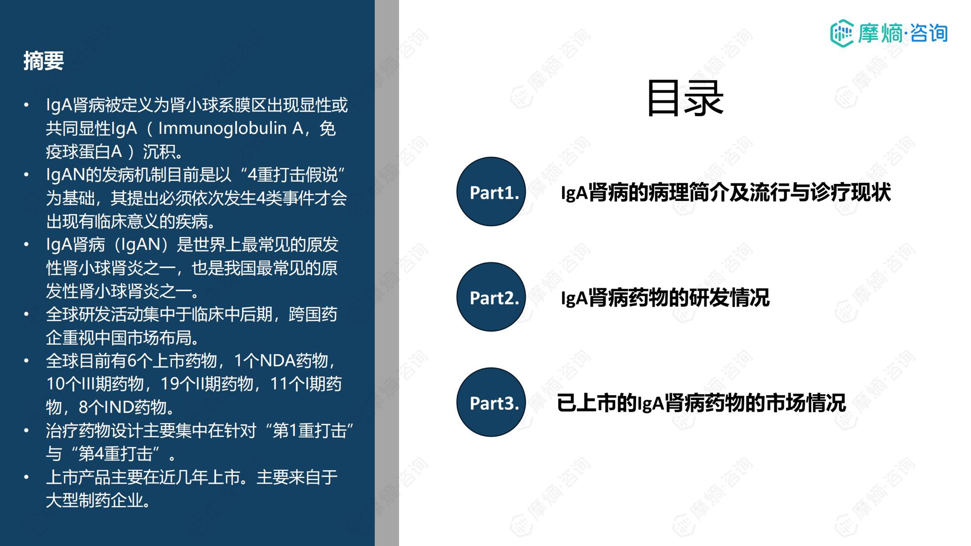 摩熵咨询2025年IgA肾病药物研发全景及已上市药物市场竞争格局报告31页.pdf