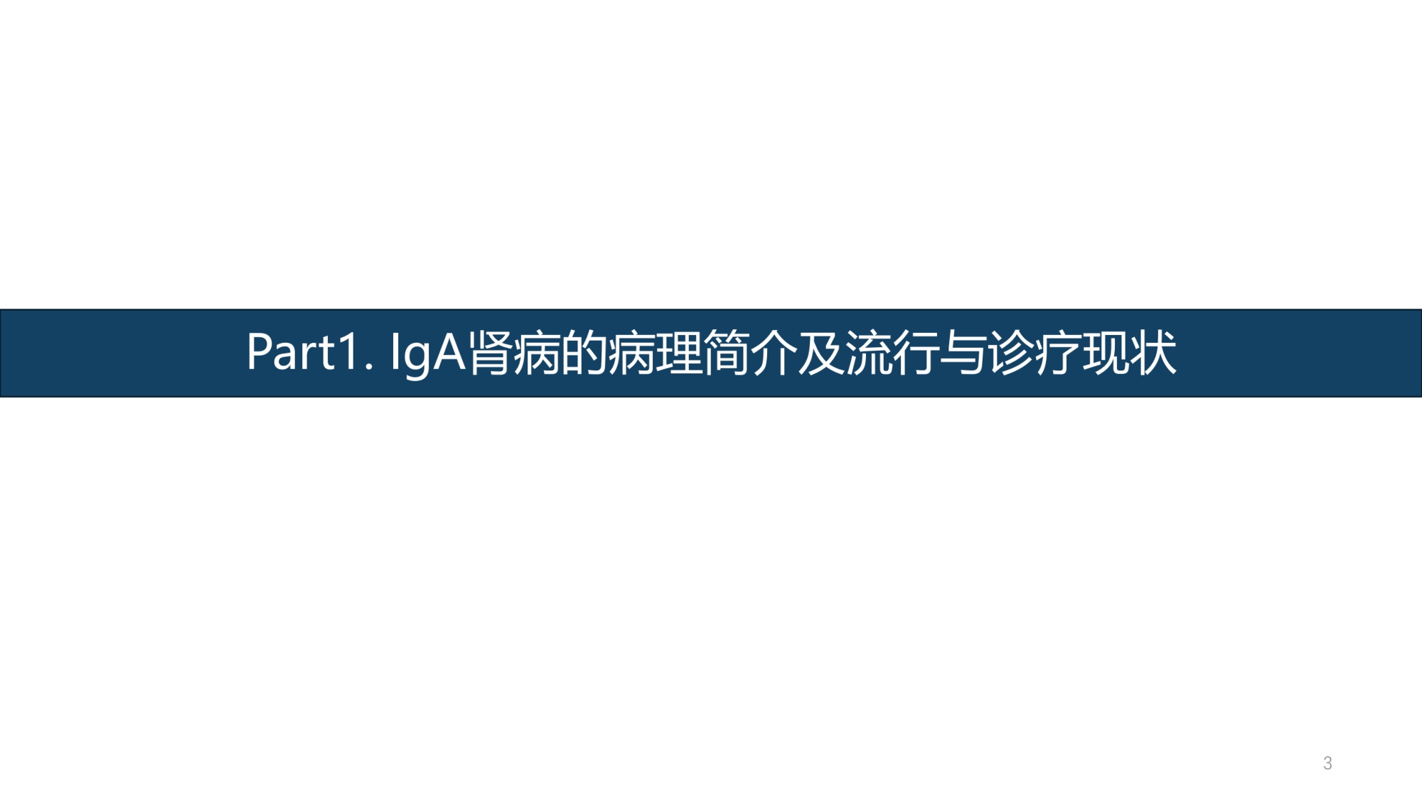 摩熵咨询2025年IgA肾病药物研发全景及已上市药物市场竞争格局报告31页.pdf