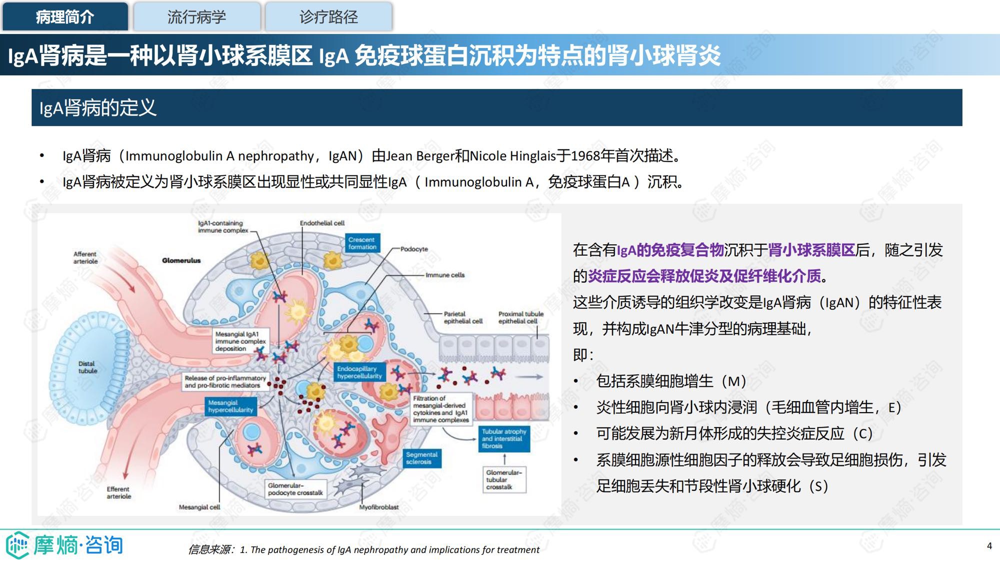 摩熵咨询2025年IgA肾病药物研发全景及已上市药物市场竞争格局报告31页.pdf