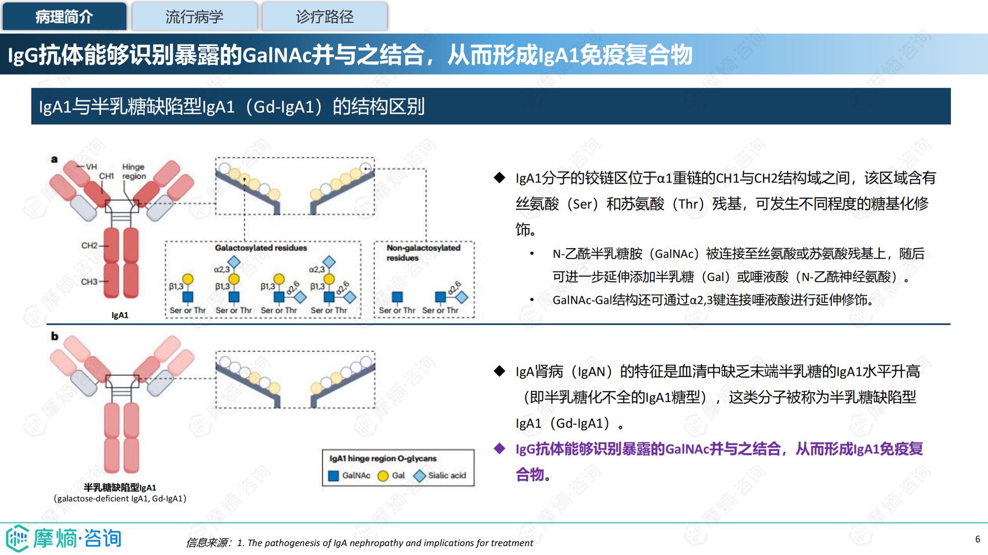 摩熵咨询2025年IgA肾病药物研发全景及已上市药物市场竞争格局报告31页.pdf