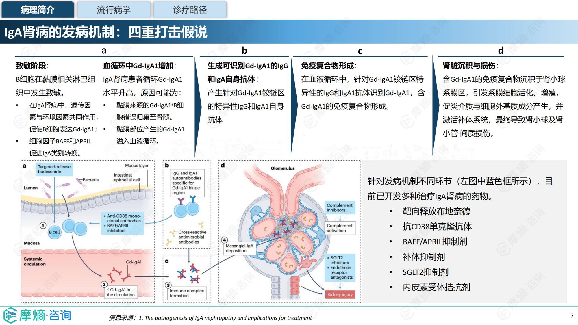 摩熵咨询2025年IgA肾病药物研发全景及已上市药物市场竞争格局报告31页.pdf