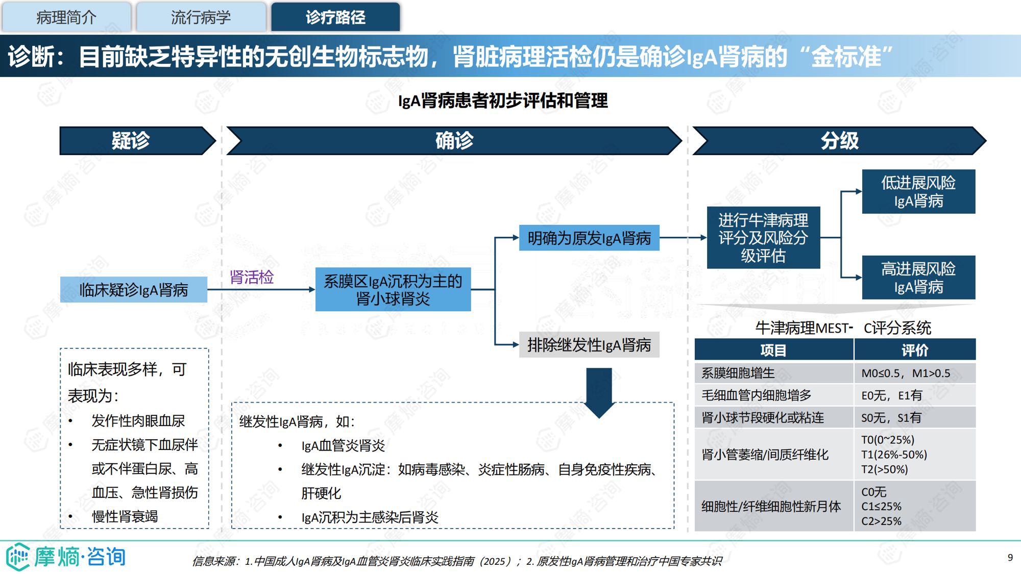摩熵咨询2025年IgA肾病药物研发全景及已上市药物市场竞争格局报告31页.pdf