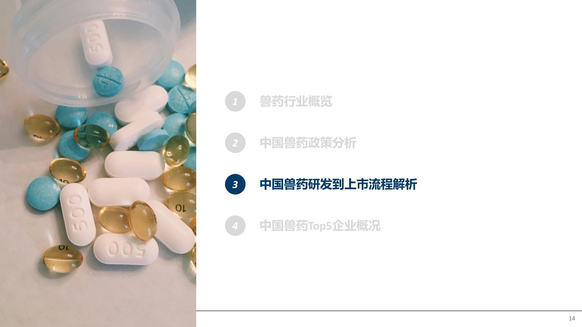 摩熵咨询2026中国兽药产业全景透视政策演进研发流程与市场格局报告35页.pdf