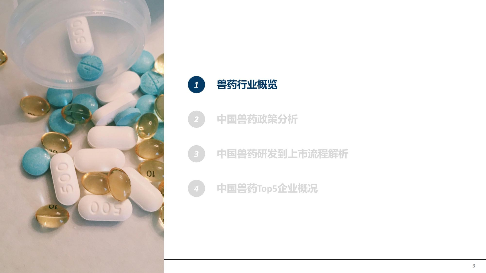 摩熵咨询2026中国兽药产业全景透视政策演进研发流程与市场格局报告35页.pdf