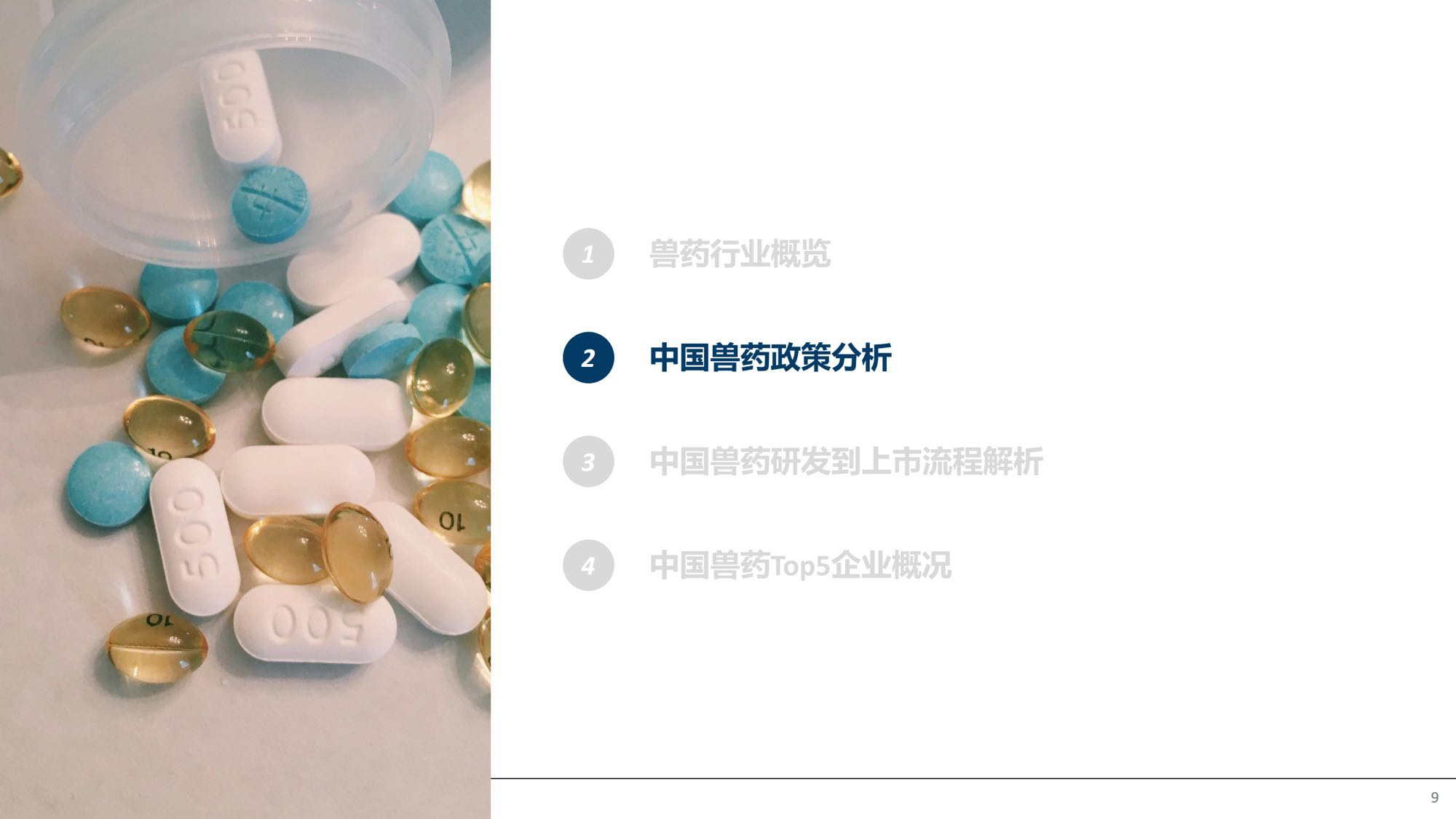 摩熵咨询2026中国兽药产业全景透视政策演进研发流程与市场格局报告35页.pdf