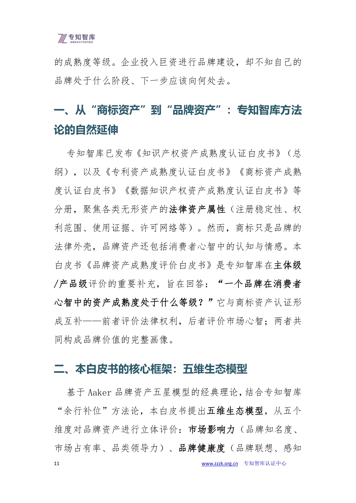 品牌资产成熟度评价白皮书.pdf