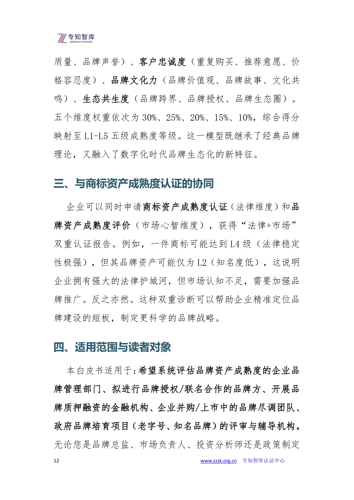 品牌资产成熟度评价白皮书.pdf