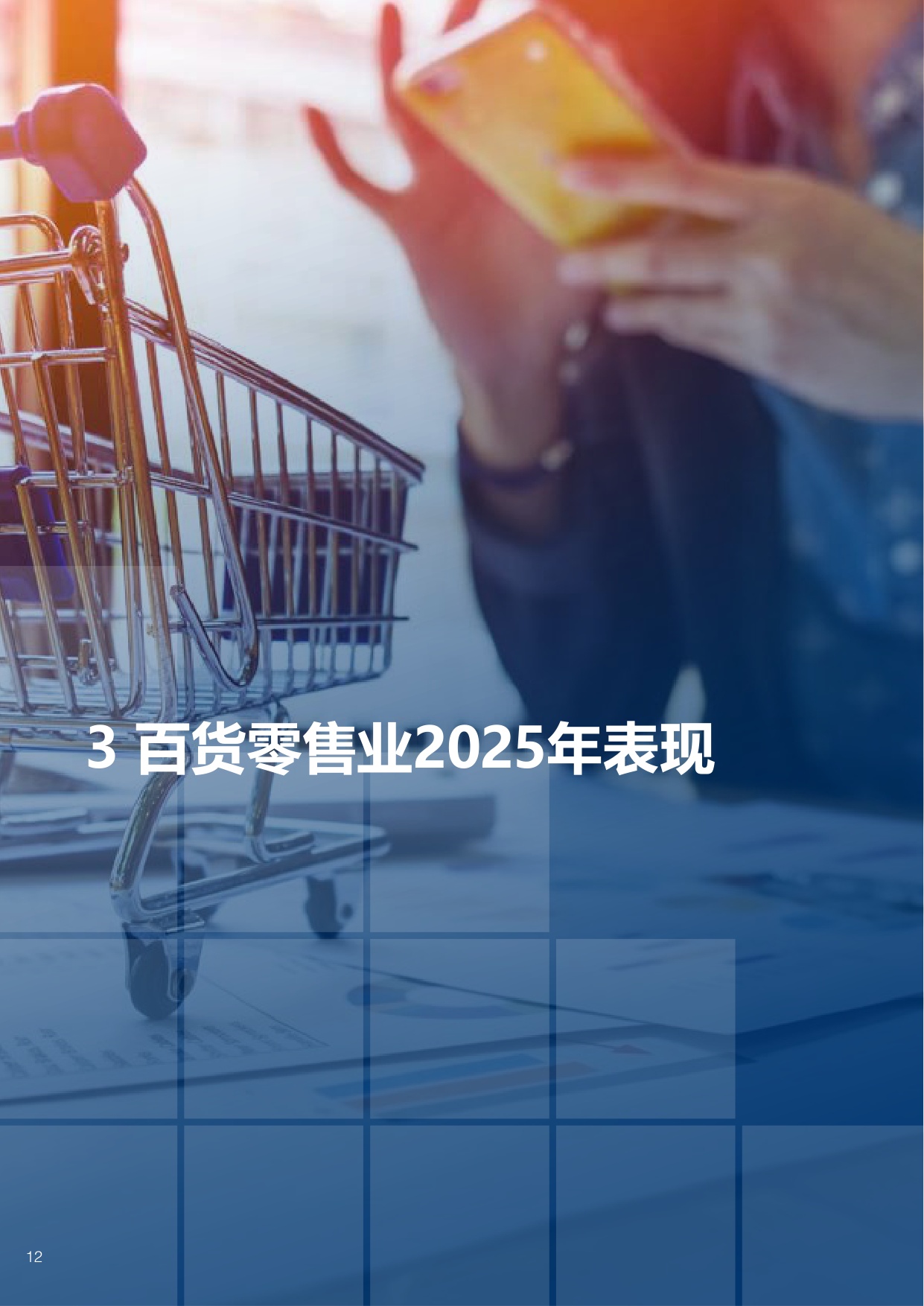 【中国百货商业协会】2025-2026年中国百货零售业发展报告.pdf