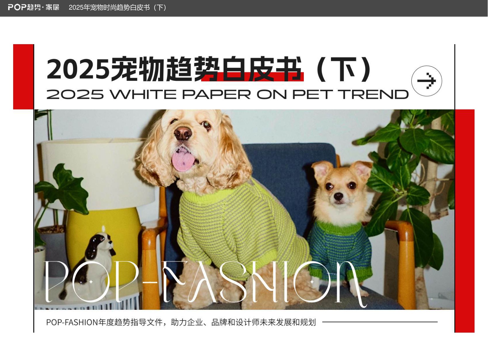 2025年宠物时尚趋势白皮书（下）-POP趋势.pdf