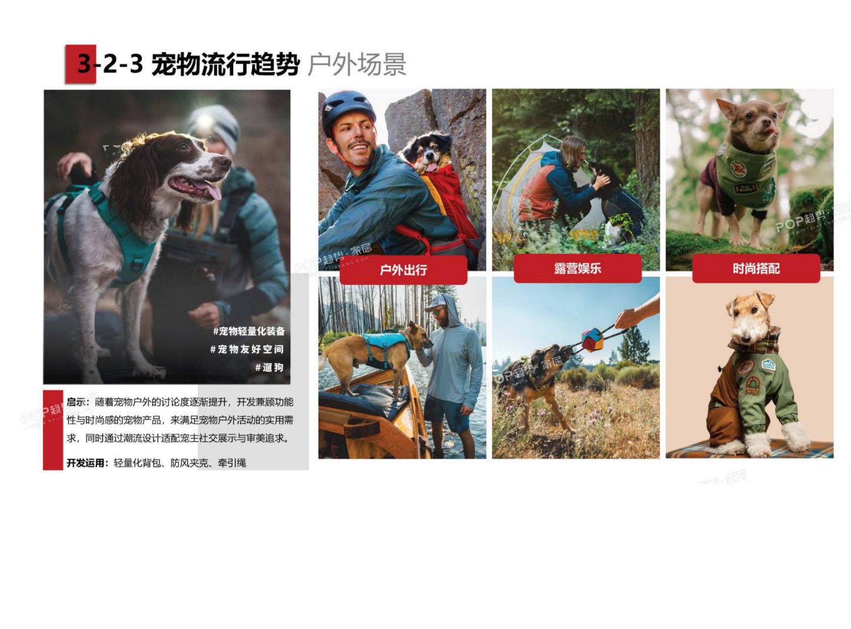 2025年宠物时尚趋势白皮书（下）-POP趋势.pdf