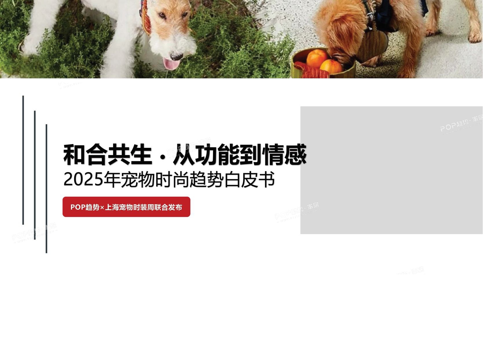 2025年宠物时尚趋势白皮书（上）-POP趋势.pdf