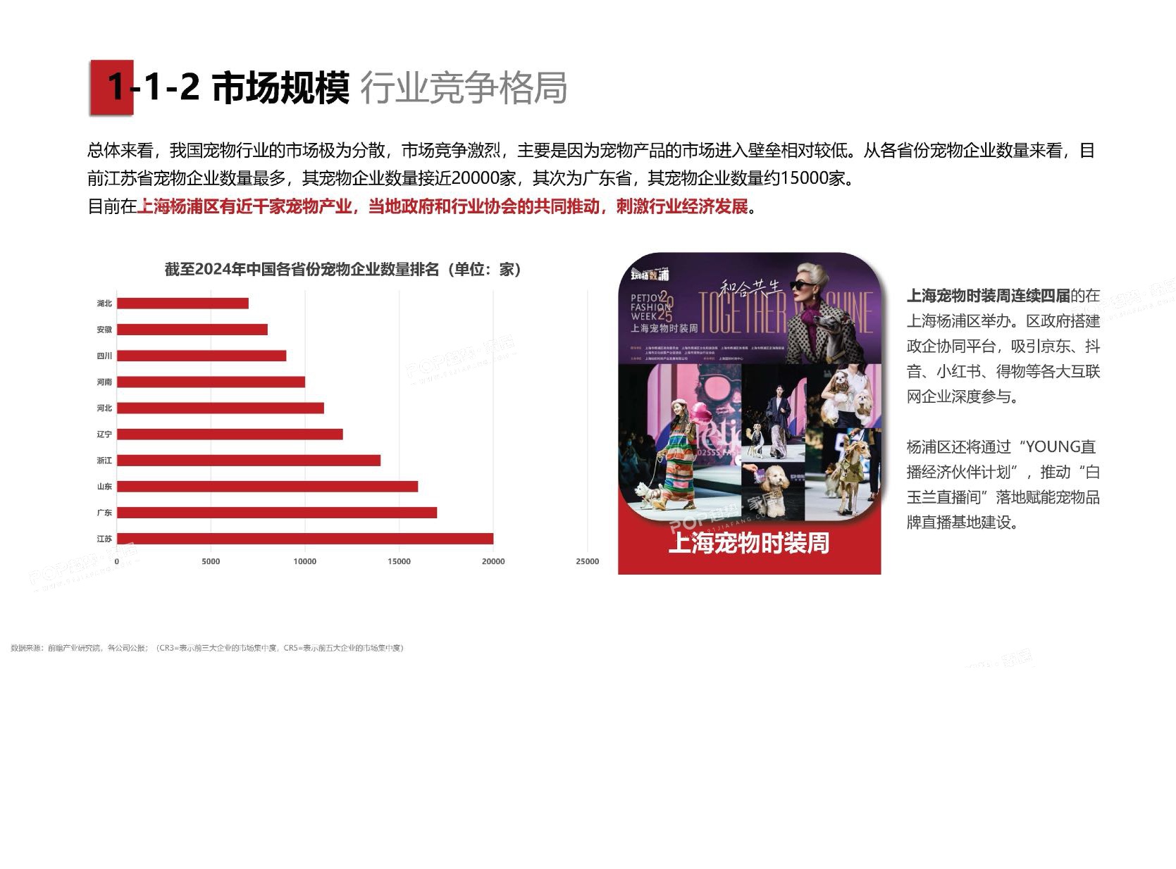 2025年宠物时尚趋势白皮书（上）-POP趋势.pdf