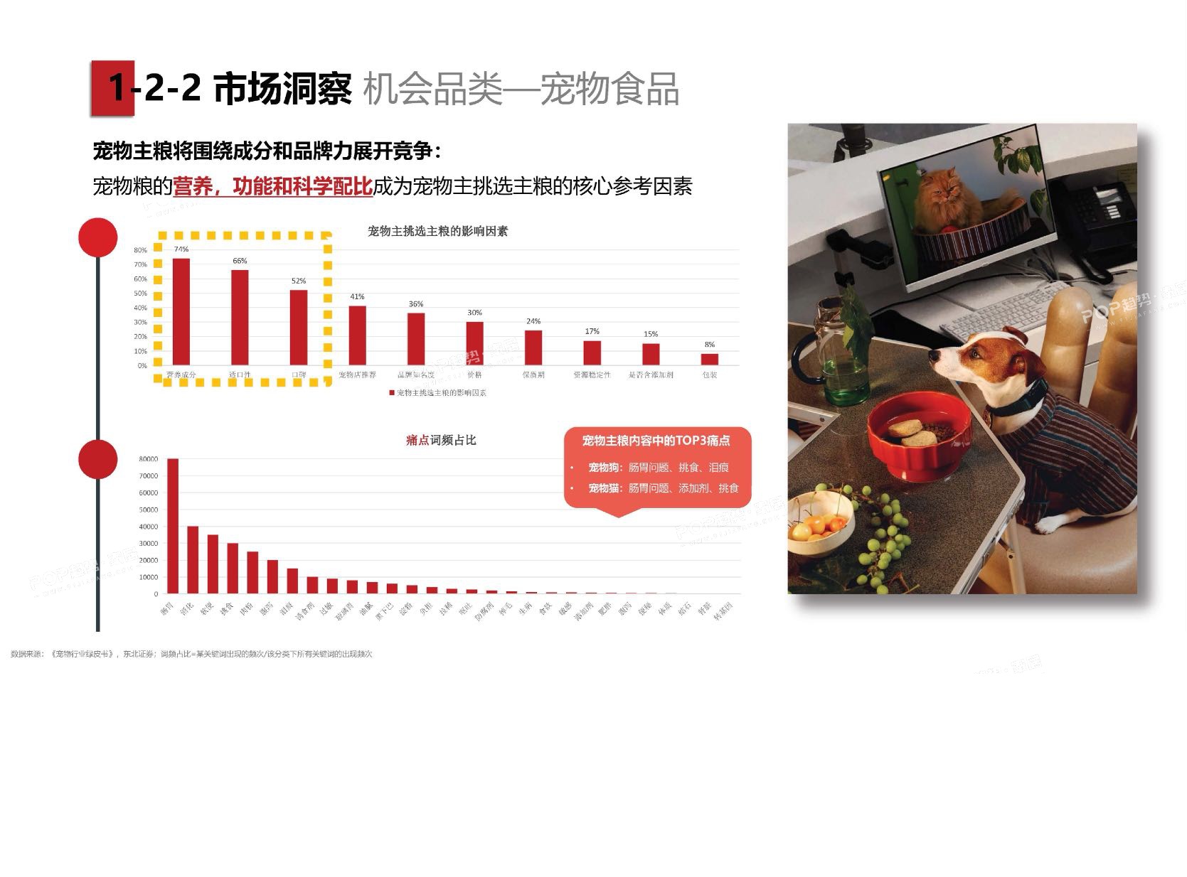 2025年宠物时尚趋势白皮书（上）-POP趋势.pdf