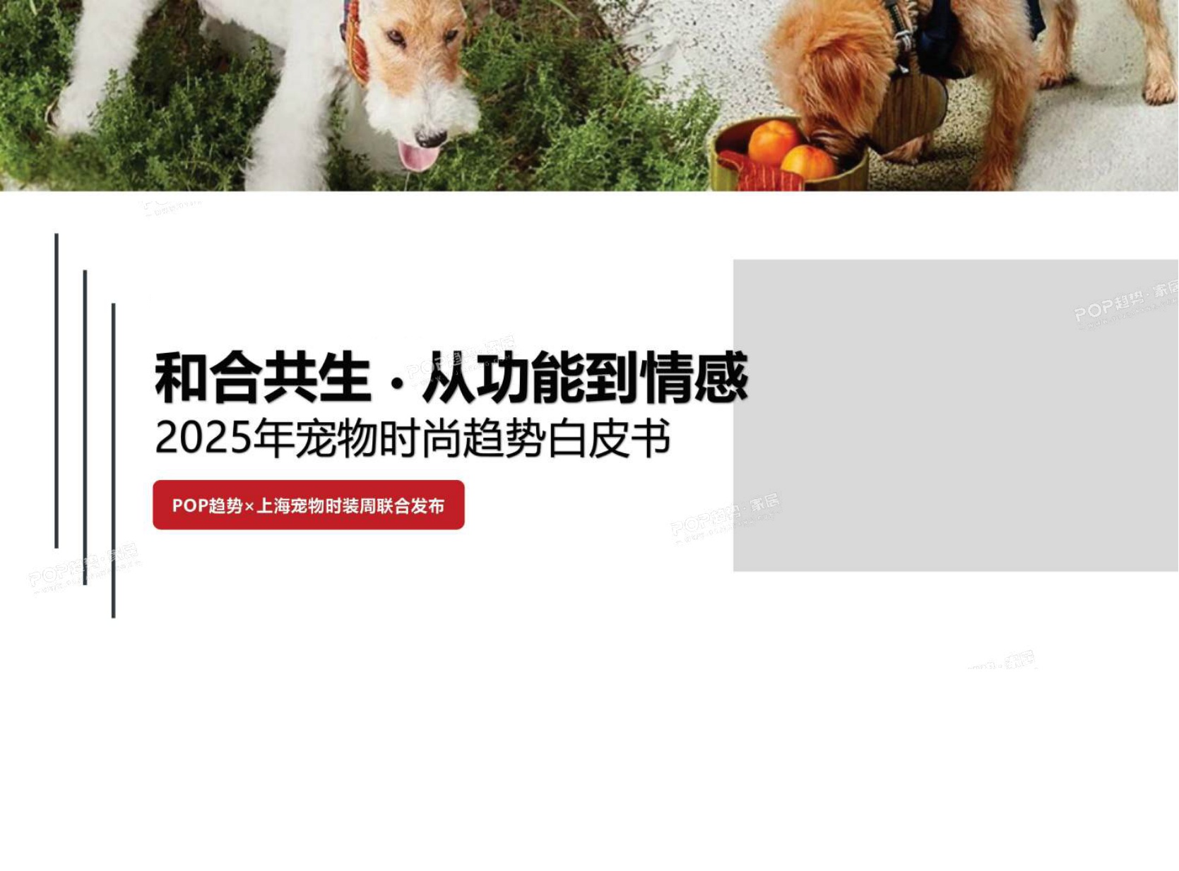 2025年宠物时尚趋势白皮书（下）-POP趋势.pdf