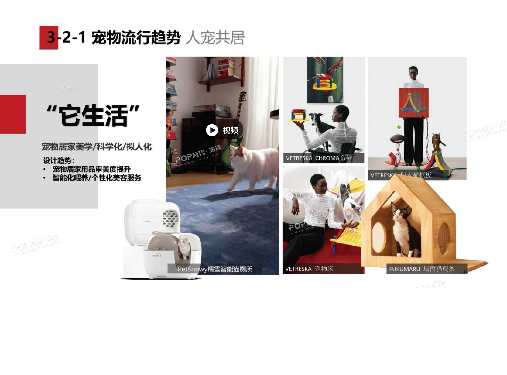 2025年宠物时尚趋势白皮书（下）-POP趋势.pdf