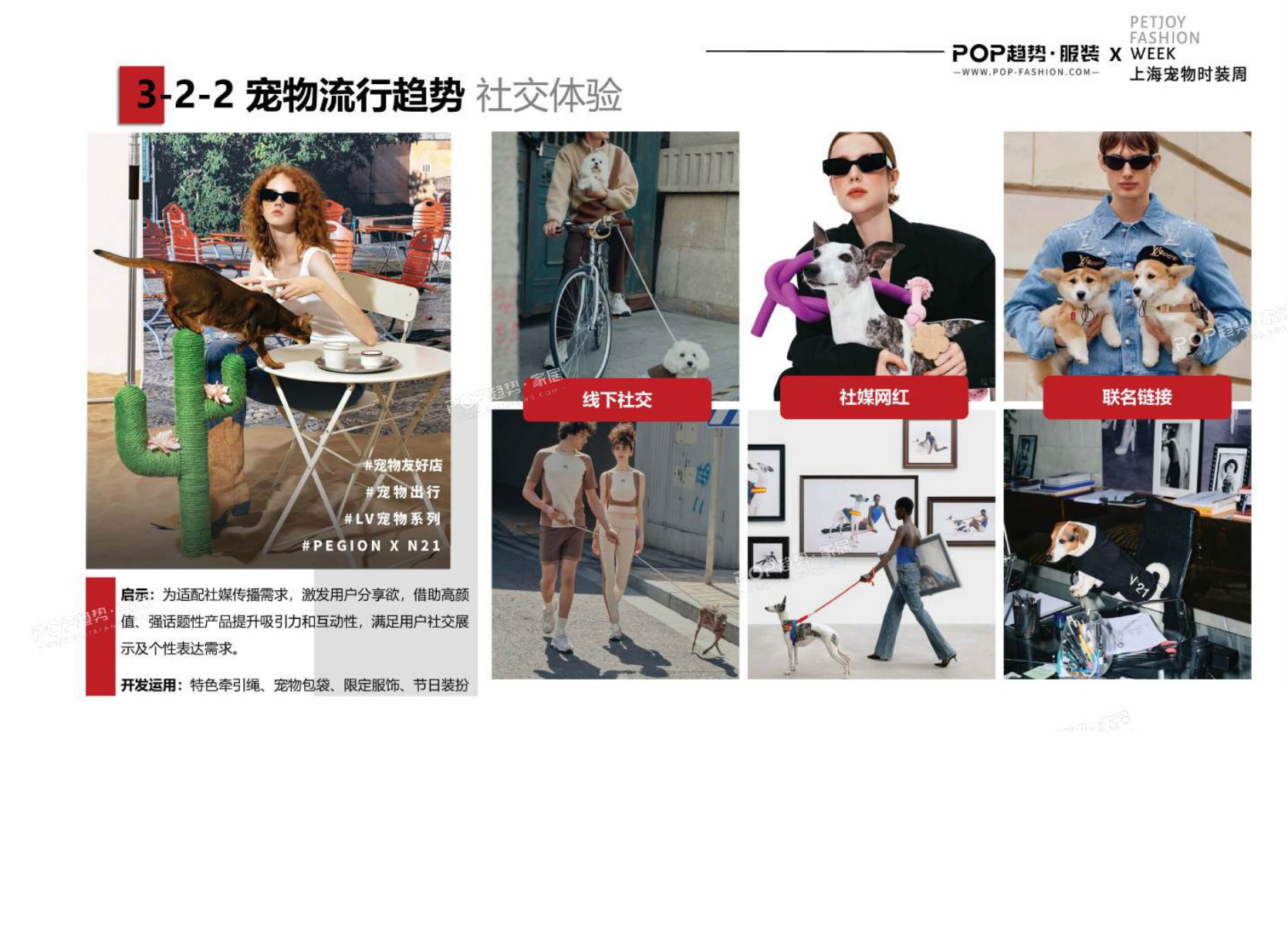 2025年宠物时尚趋势白皮书（下）-POP趋势.pdf