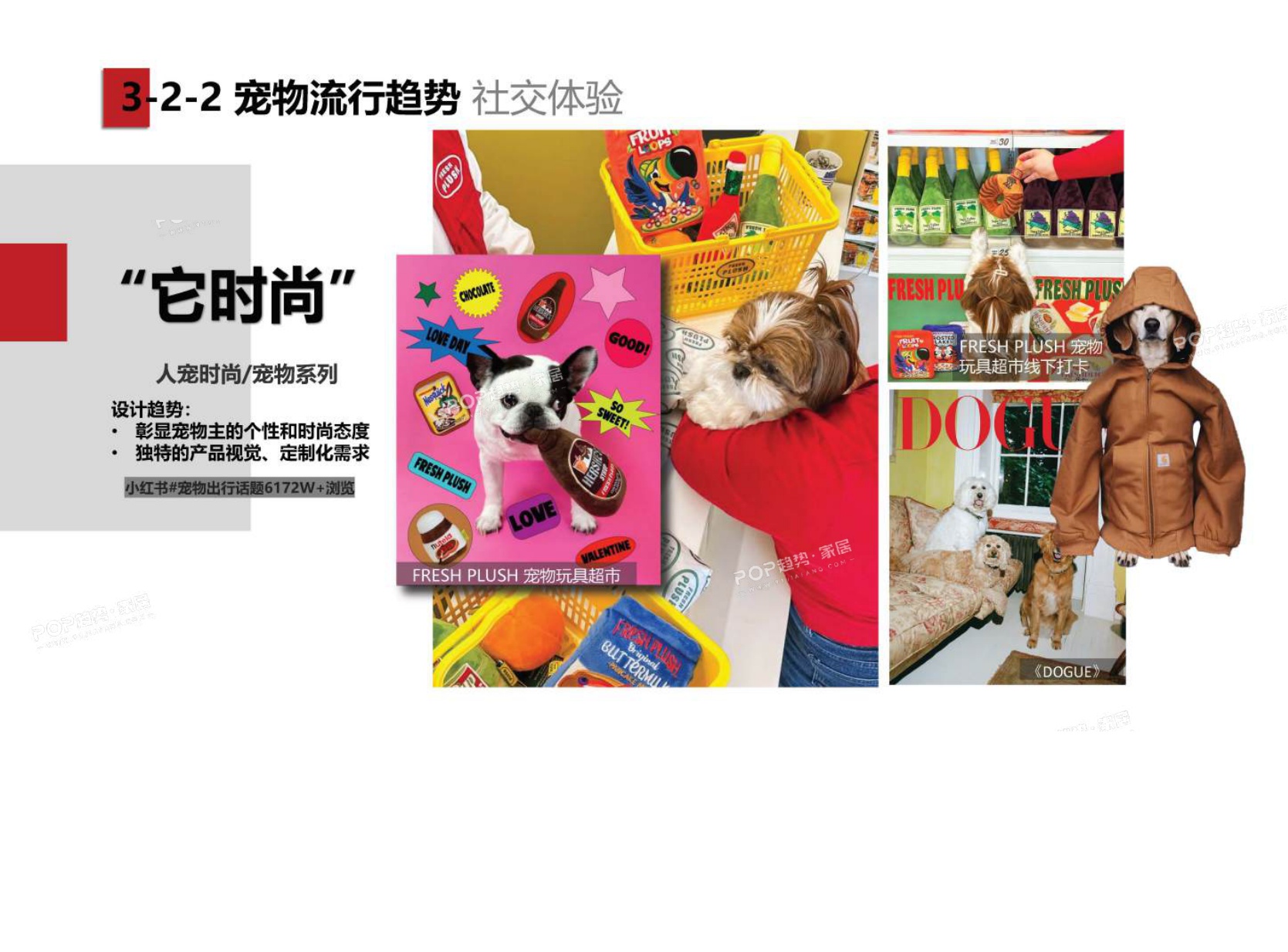 2025年宠物时尚趋势白皮书（下）-POP趋势.pdf