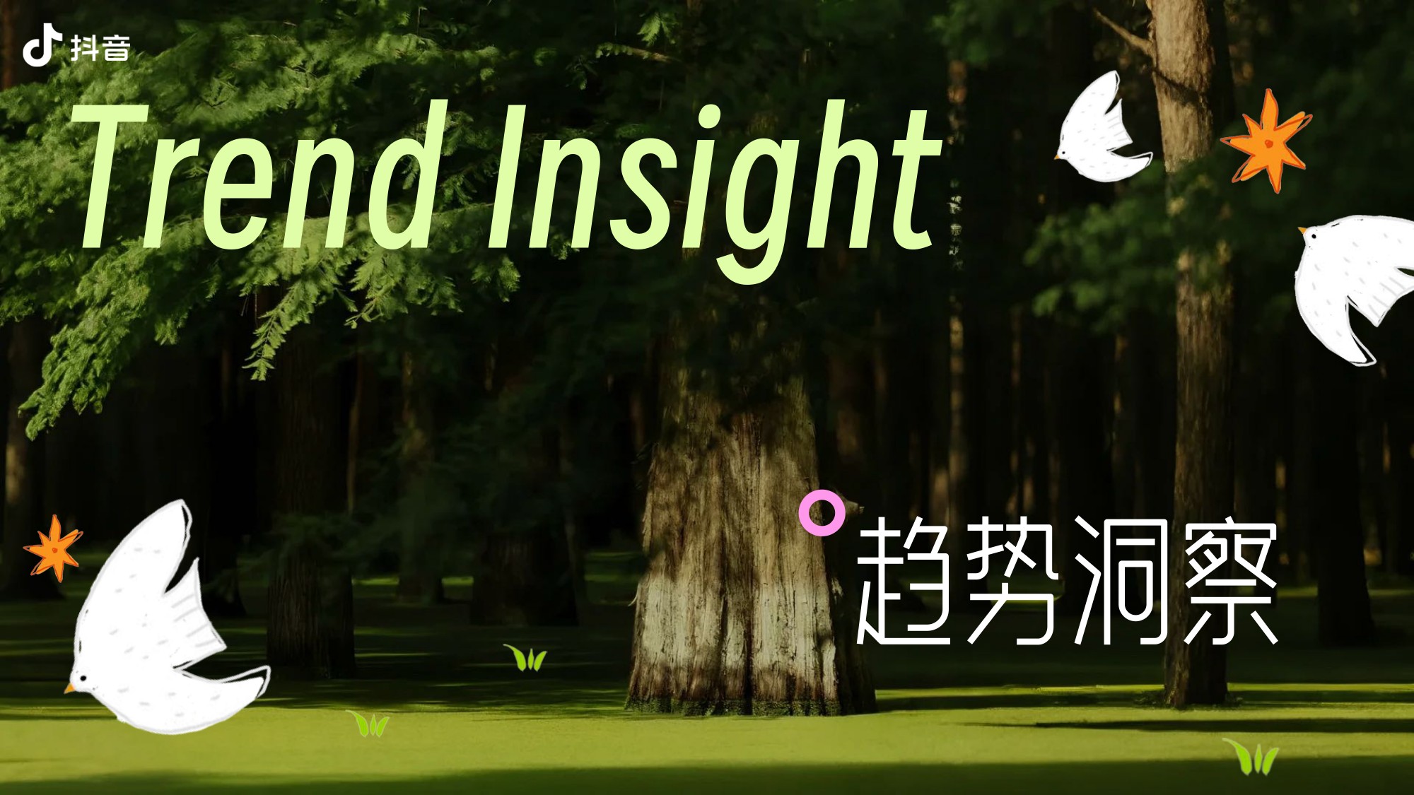 抖音亲子IP童趣走花路·春趣春又来【抖音营销】【通案】.pdf