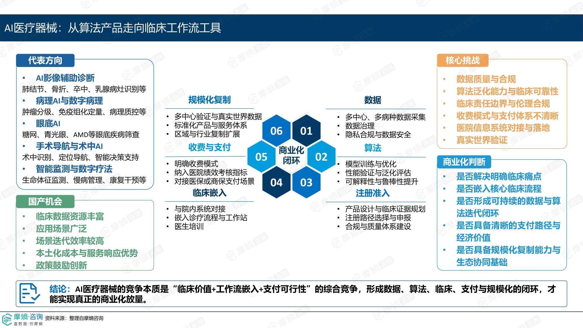 摩熵咨询2026国产高端医疗器械创新观察报告13页.pdf