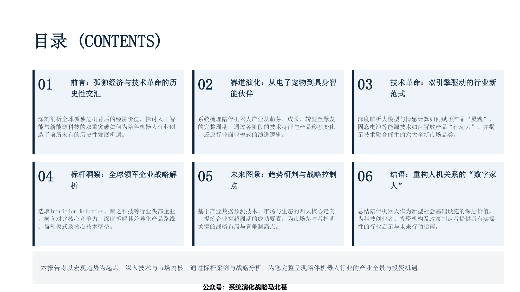 陪伴机器人赛道的千亿级市场机会研究及战略布局解构.pdf
