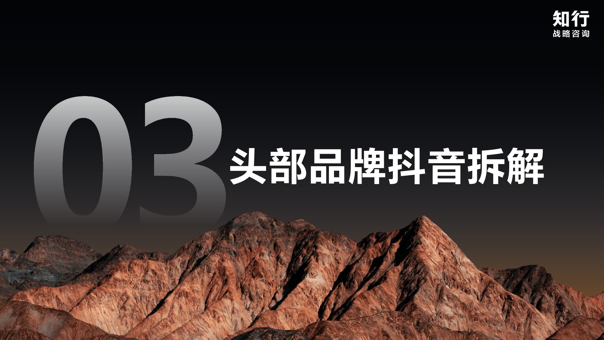 知行战略咨询：2025年婴童营养品品类数据观察报告.pdf