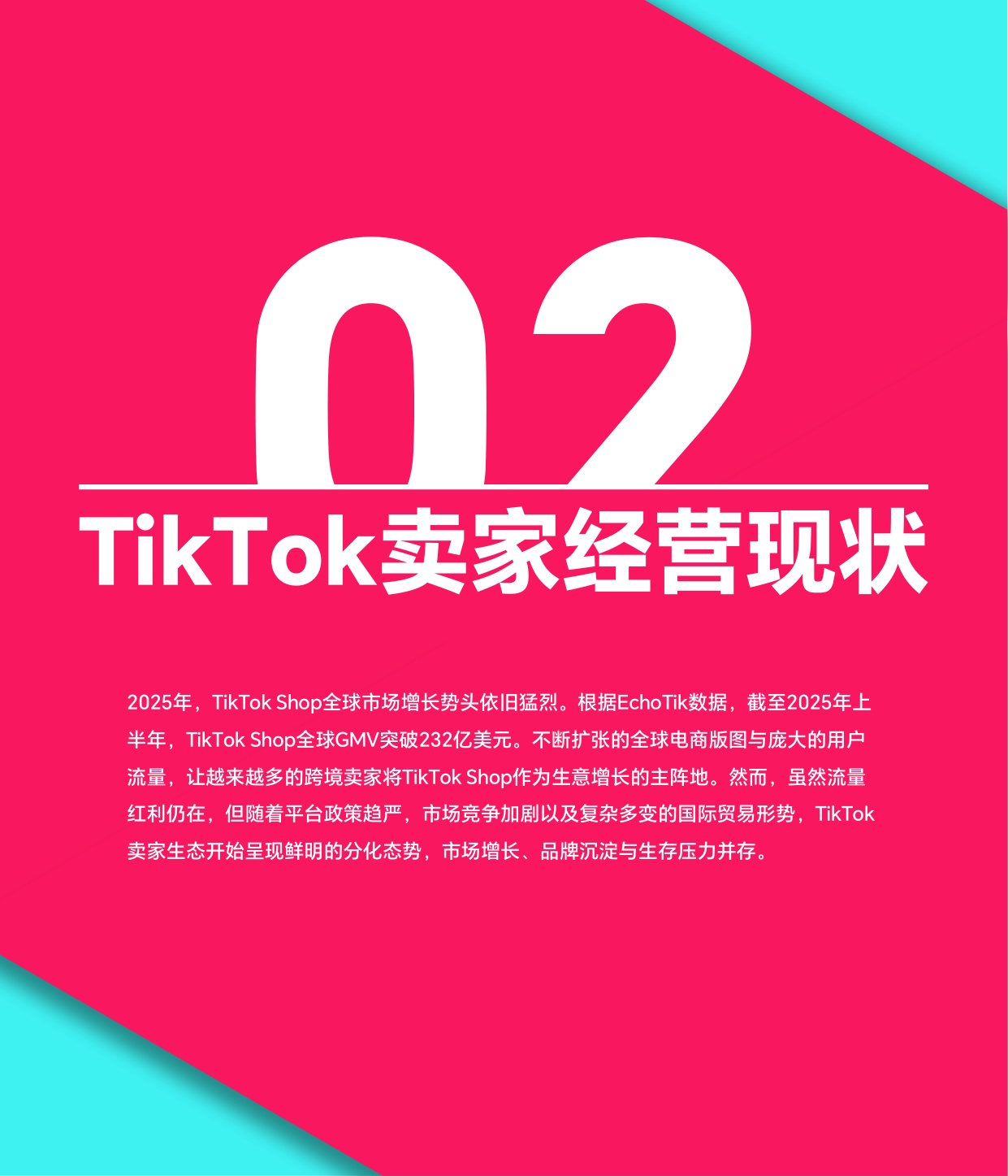 2025上半年TikTok Shop调研报告-TT123-2025-73页.pdf