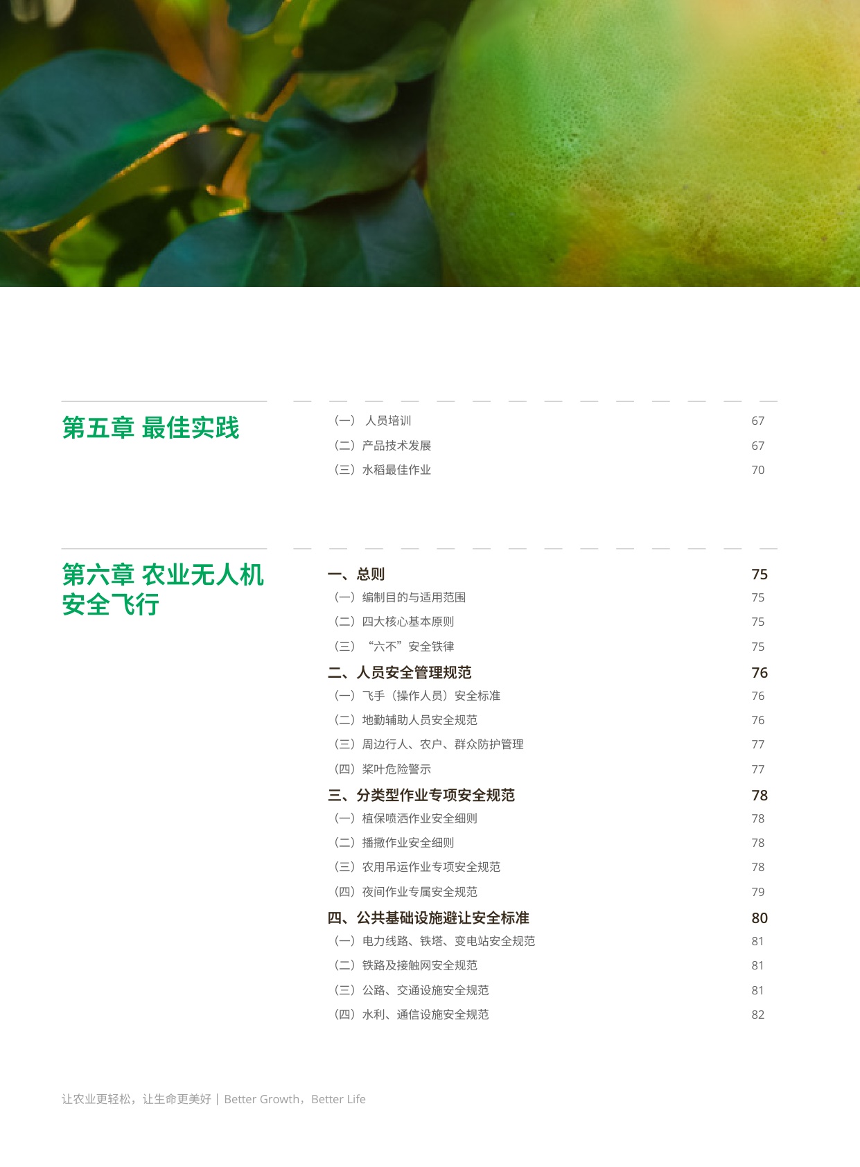 大疆：农业无人机行业白皮书（2025-2026）.pdf