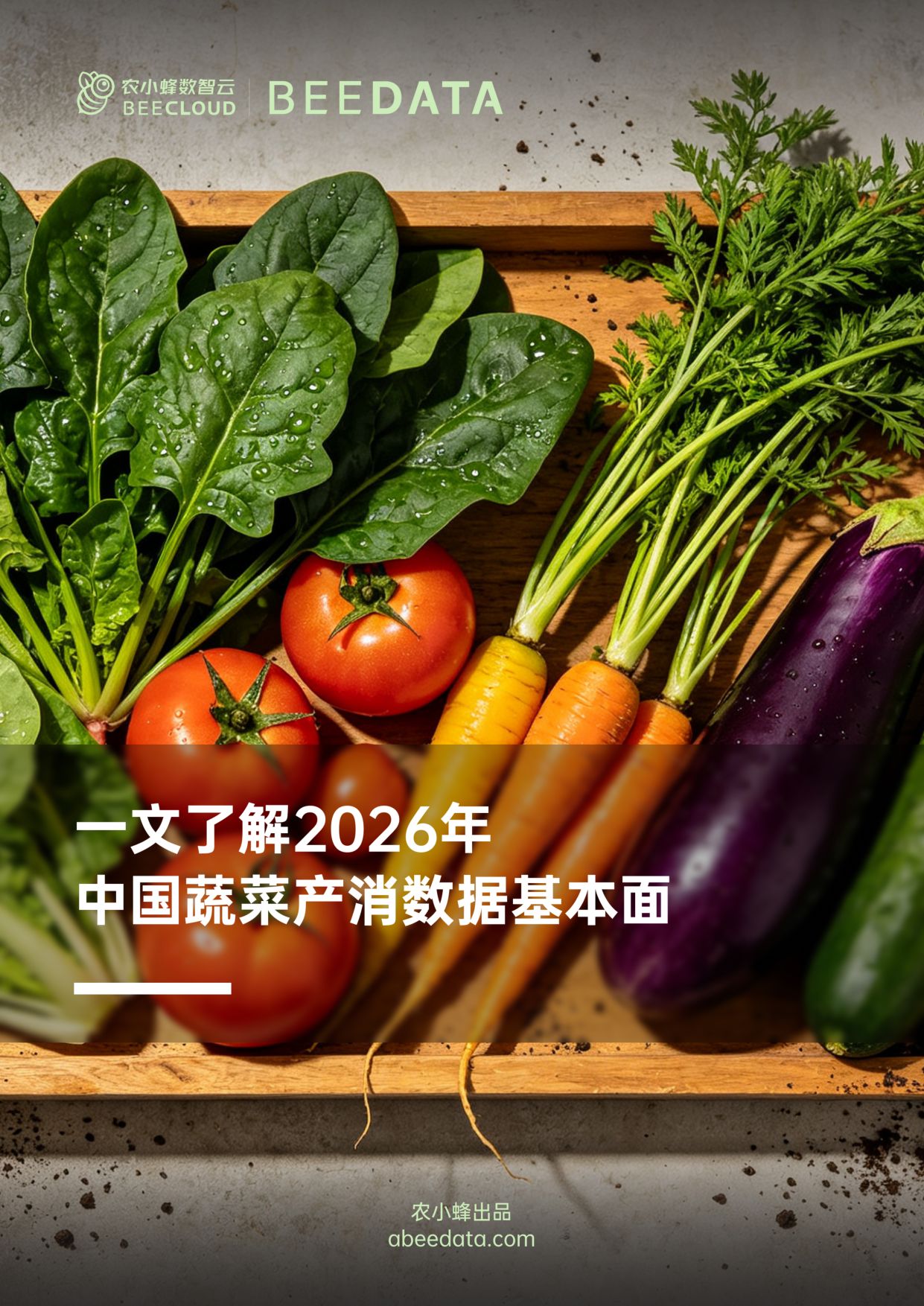 农小蜂-一文了解2026年中国蔬菜产消数据基本面.pdf