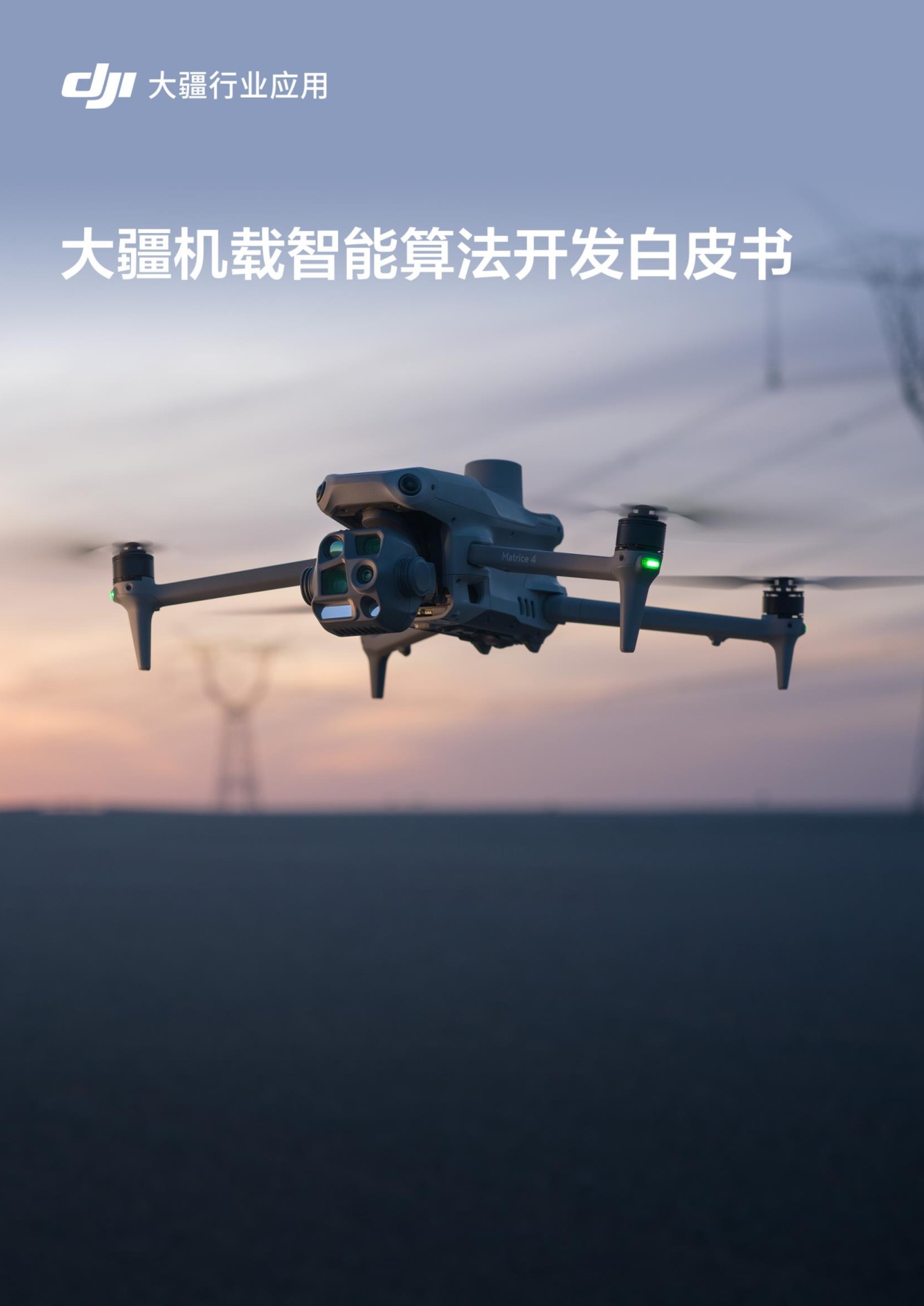2026大疆机载智能算法开发白皮书-大疆.pdf