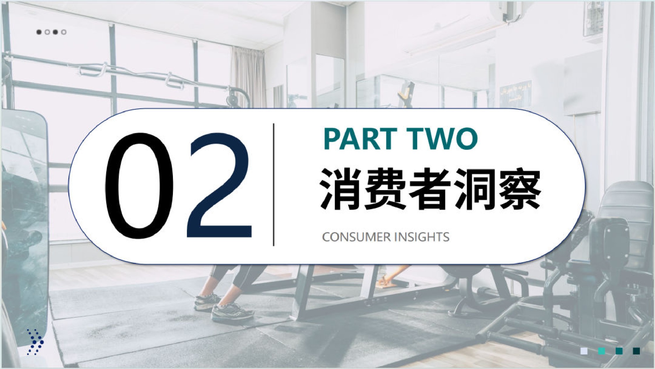 大数跨境：2025年全球健身器材市场洞察报告.pdf