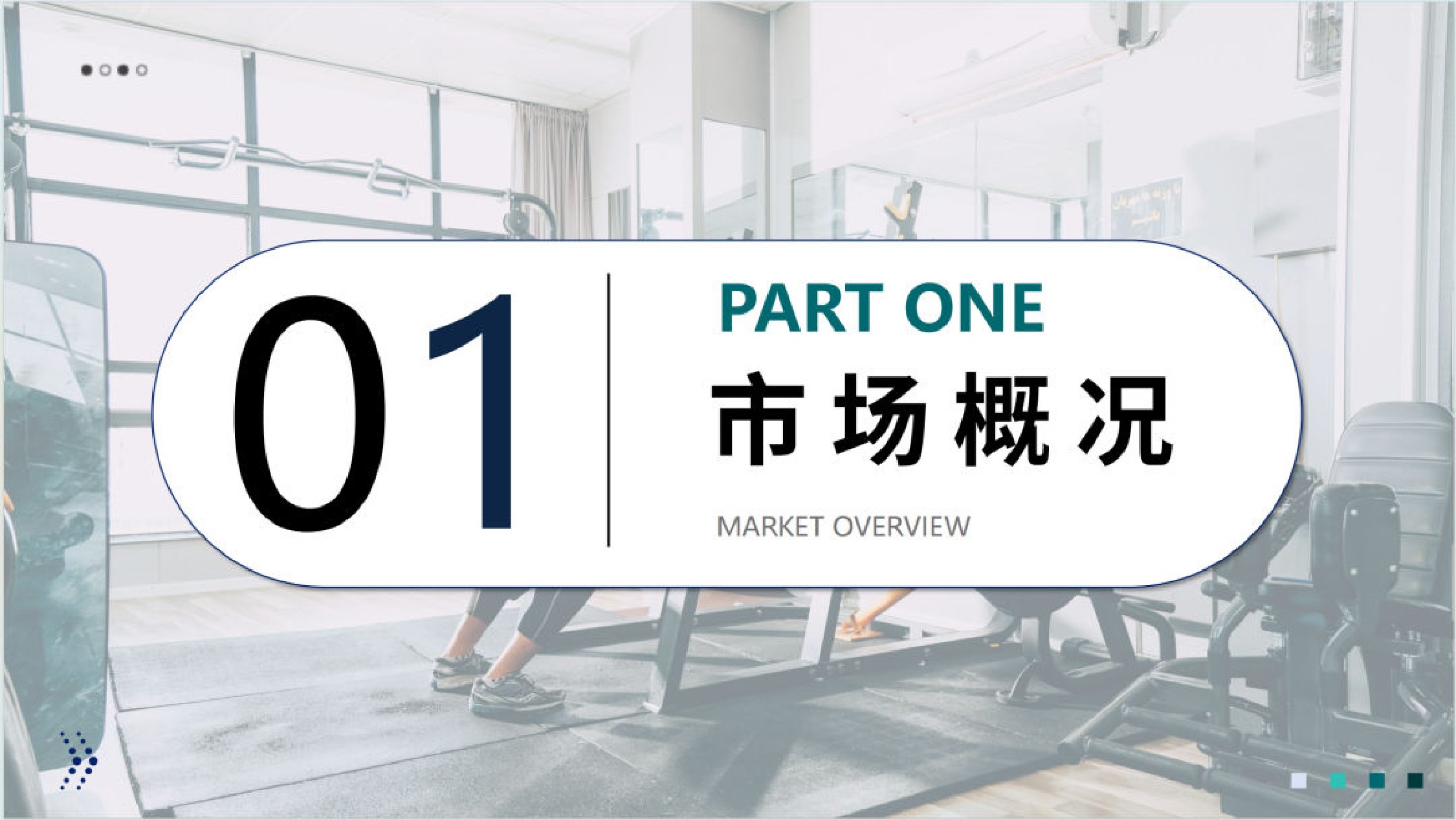 大数跨境：2025年全球健身器材市场洞察报告.pdf
