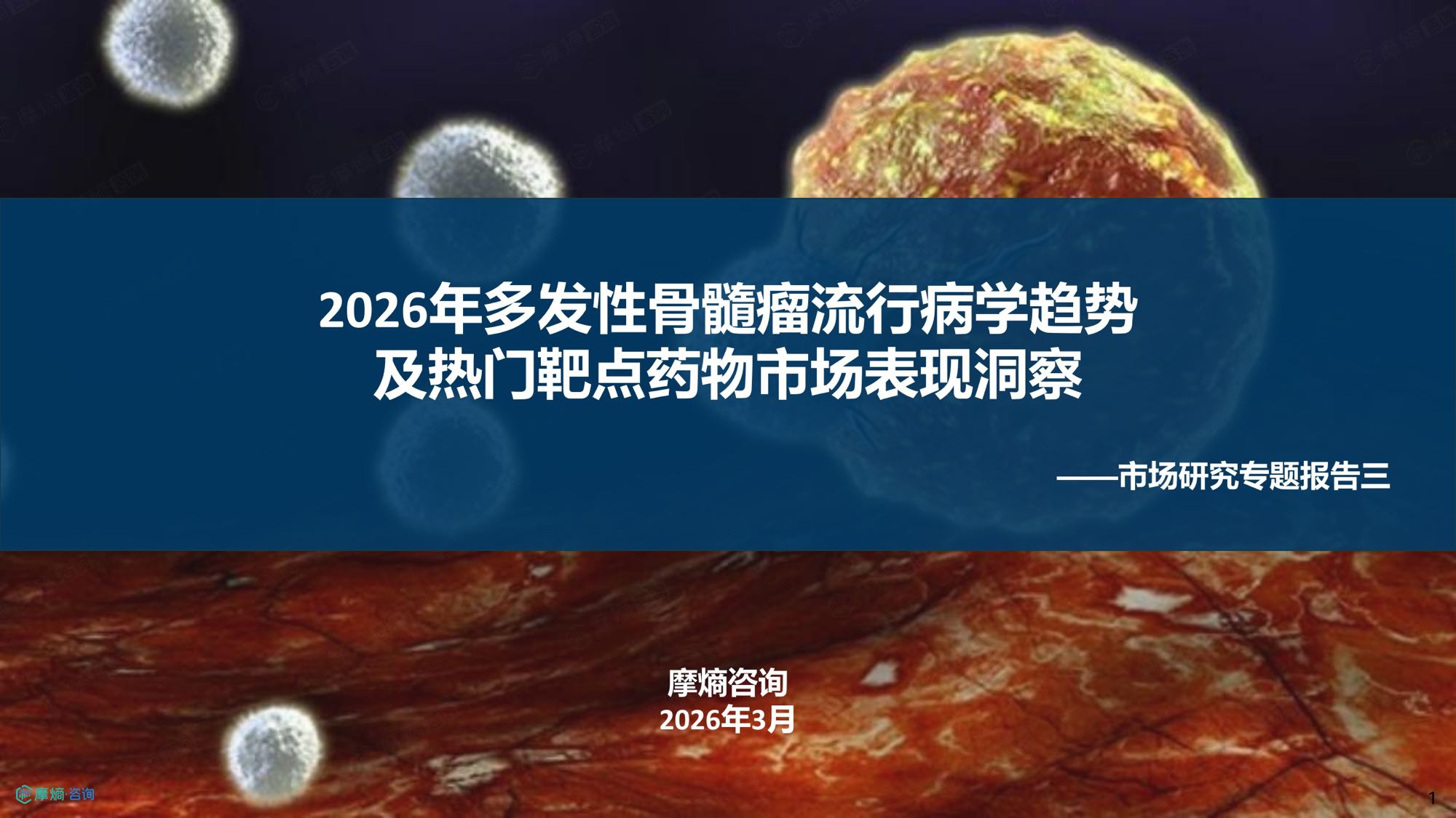 摩熵咨询2026年多发性骨髓瘤流行病学趋势及热门靶点药物市场表现洞察报告38页.pdf