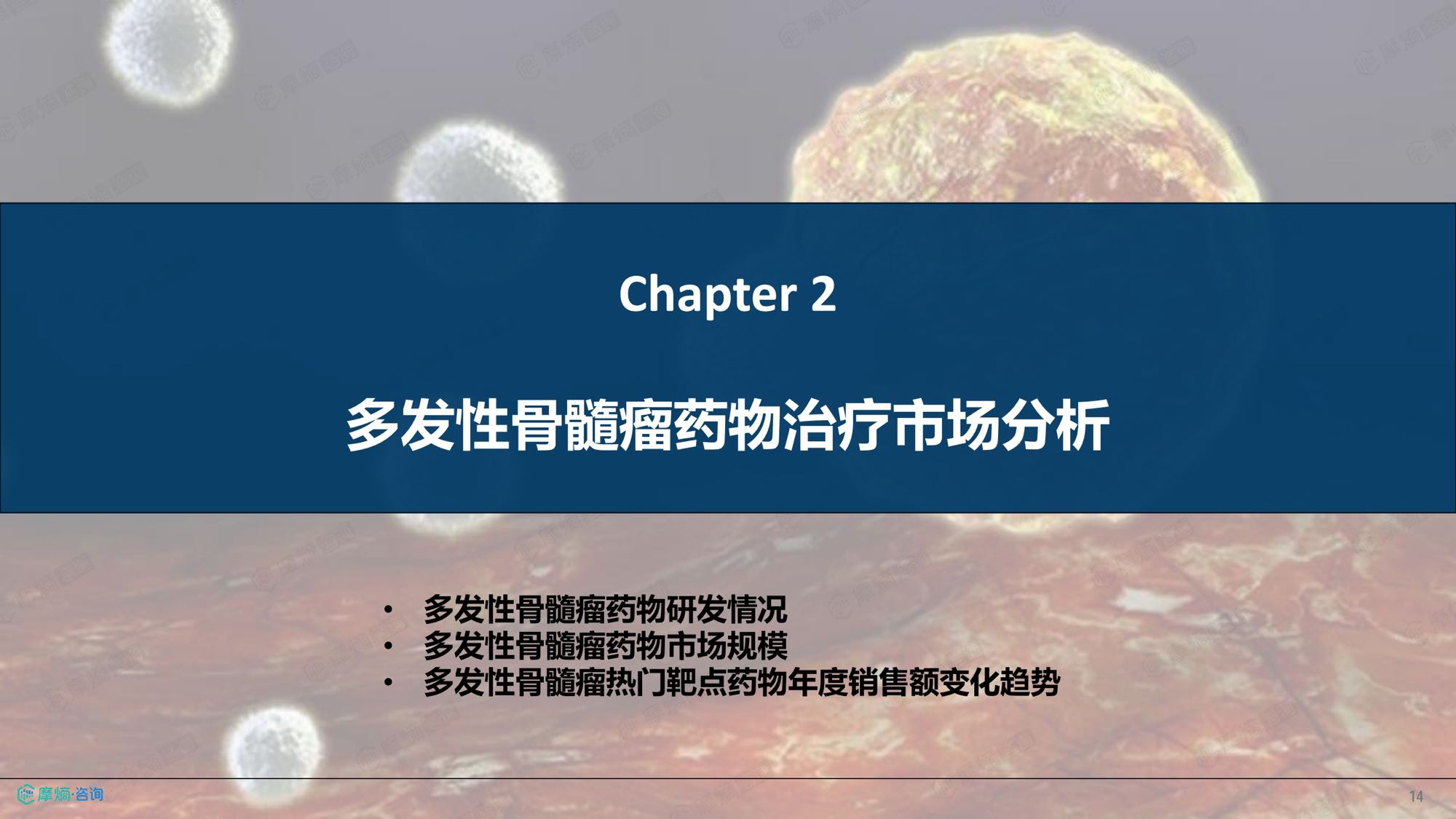 摩熵咨询2026年多发性骨髓瘤流行病学趋势及热门靶点药物市场表现洞察报告38页.pdf