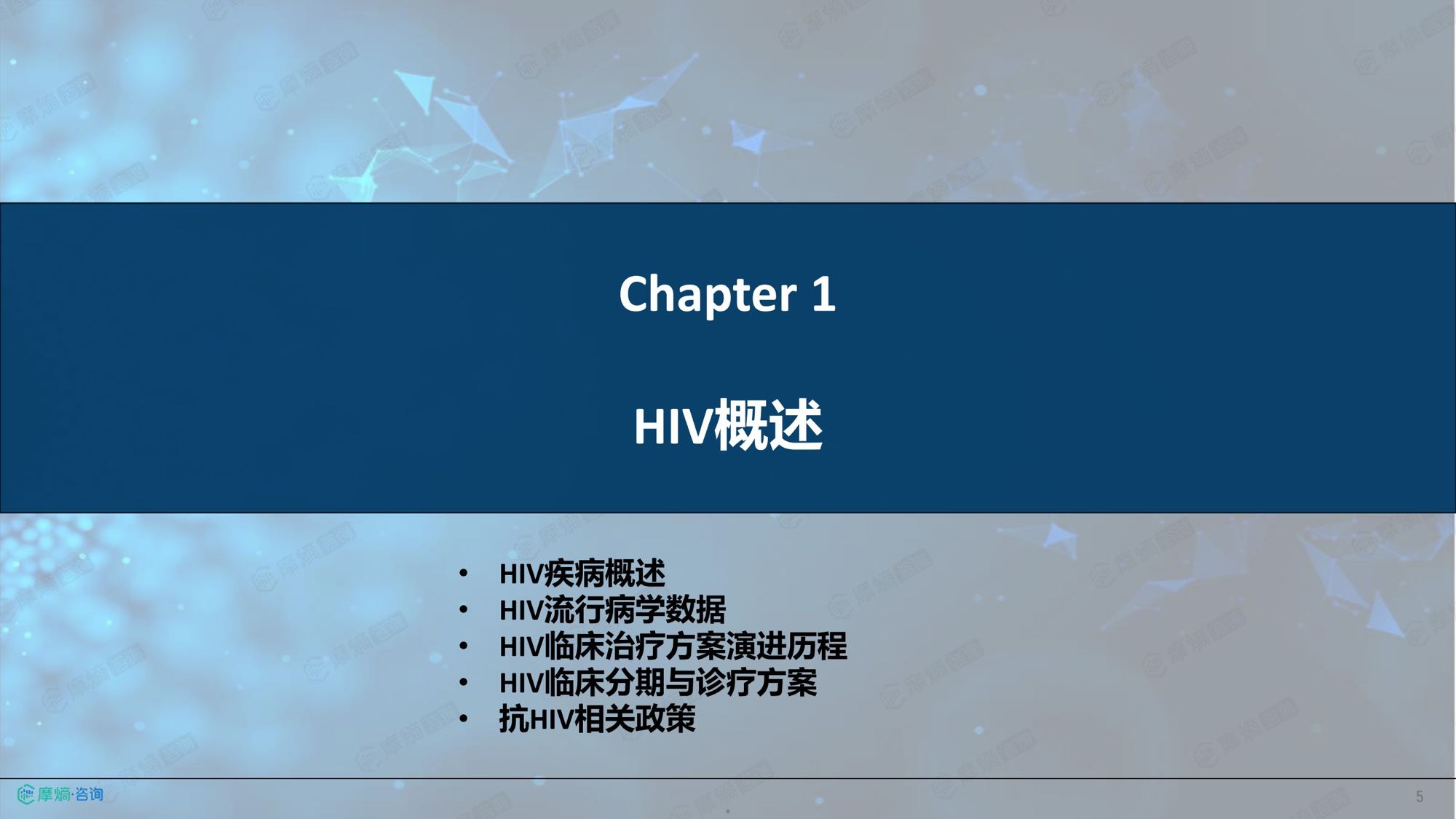 摩熵咨询2026年HIV流行病学趋势及热门靶点药物市场表现洞察报告37页.pdf