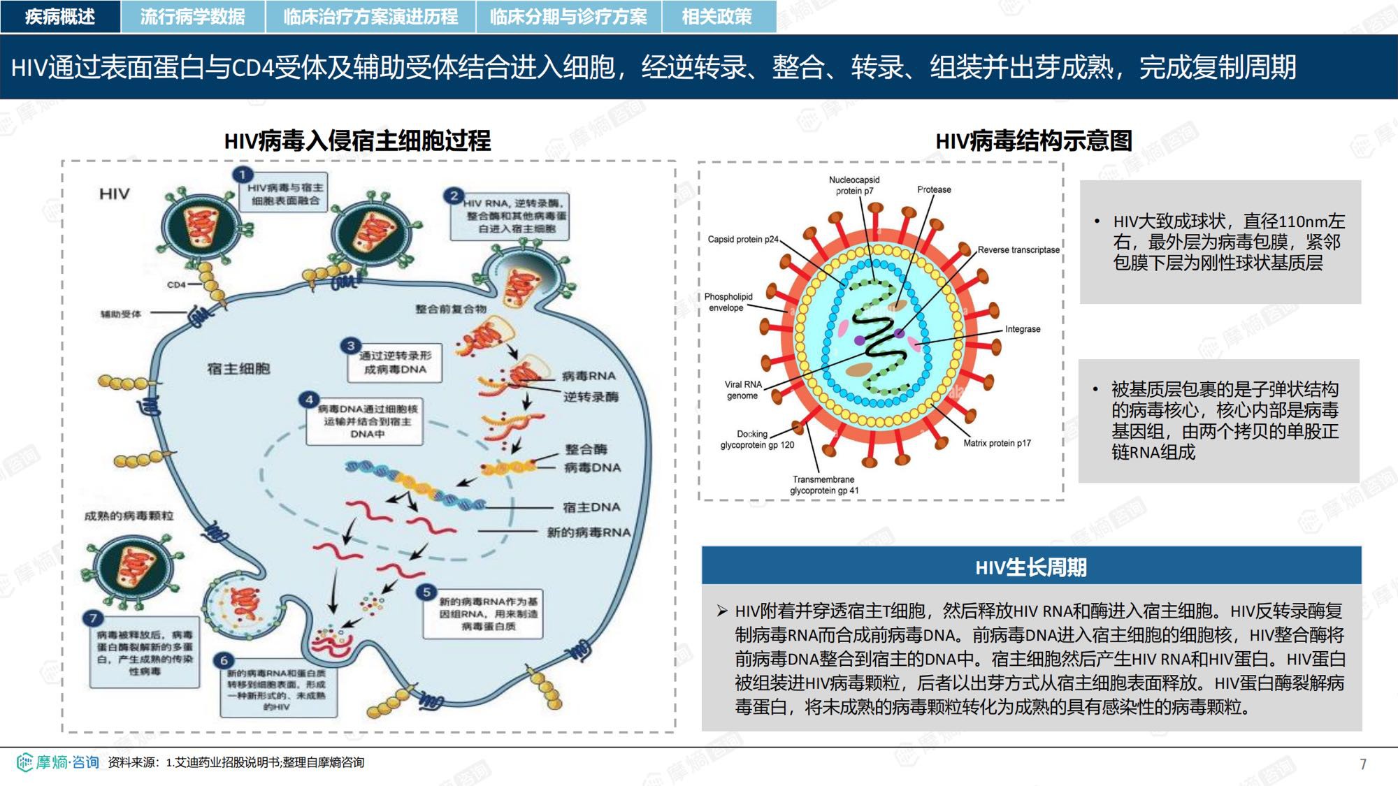 摩熵咨询2026年HIV流行病学趋势及热门靶点药物市场表现洞察报告37页.pdf