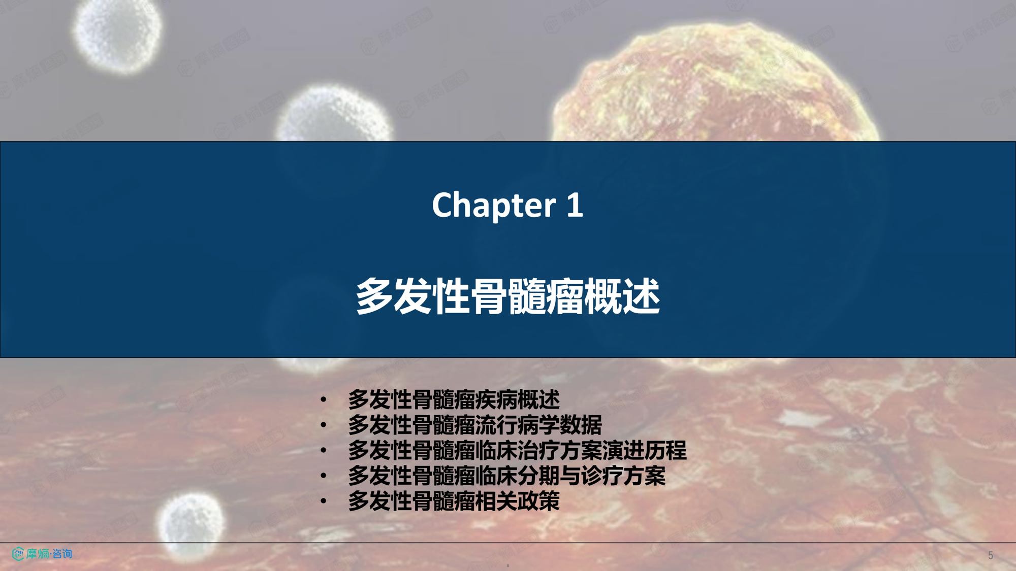 摩熵咨询2026年多发性骨髓瘤流行病学趋势及热门靶点药物市场表现洞察报告38页.pdf