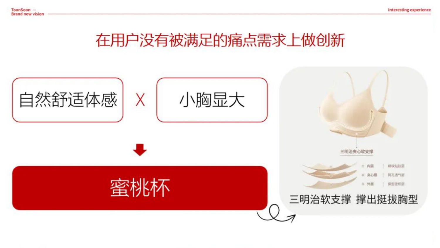 内衣品牌抖音营销策略【电商】【抖音运营】.pdf