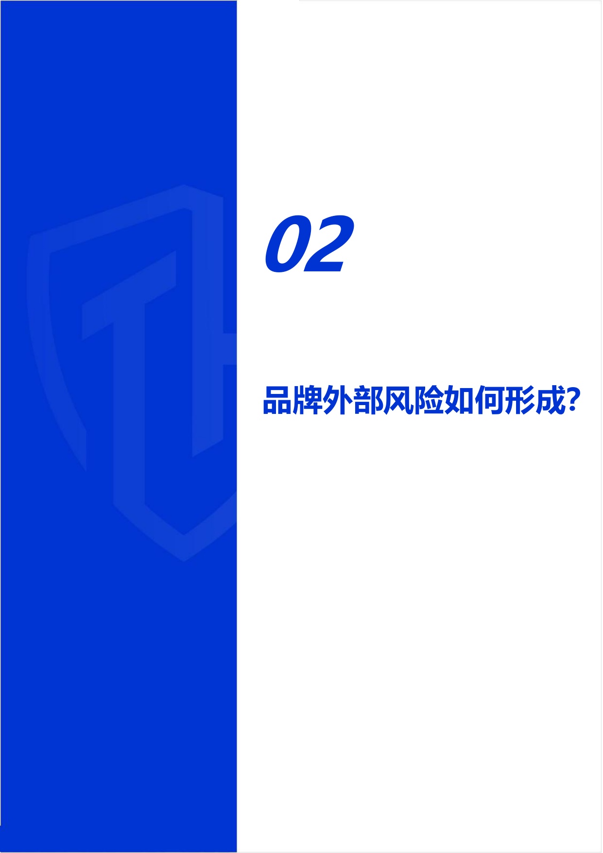 威胁猎人：2026年上半年企业品牌外部风险研究报告.pdf