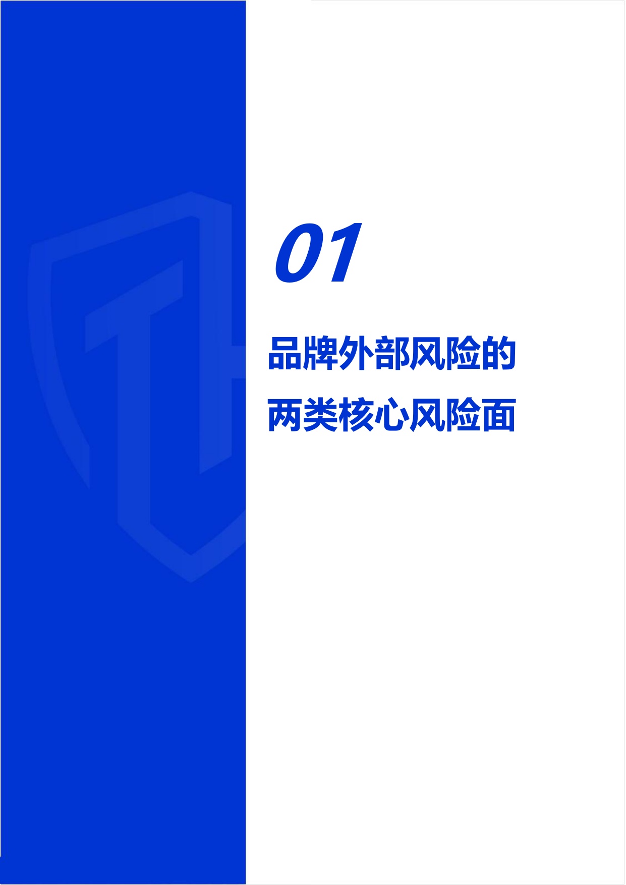威胁猎人：2026年上半年企业品牌外部风险研究报告.pdf