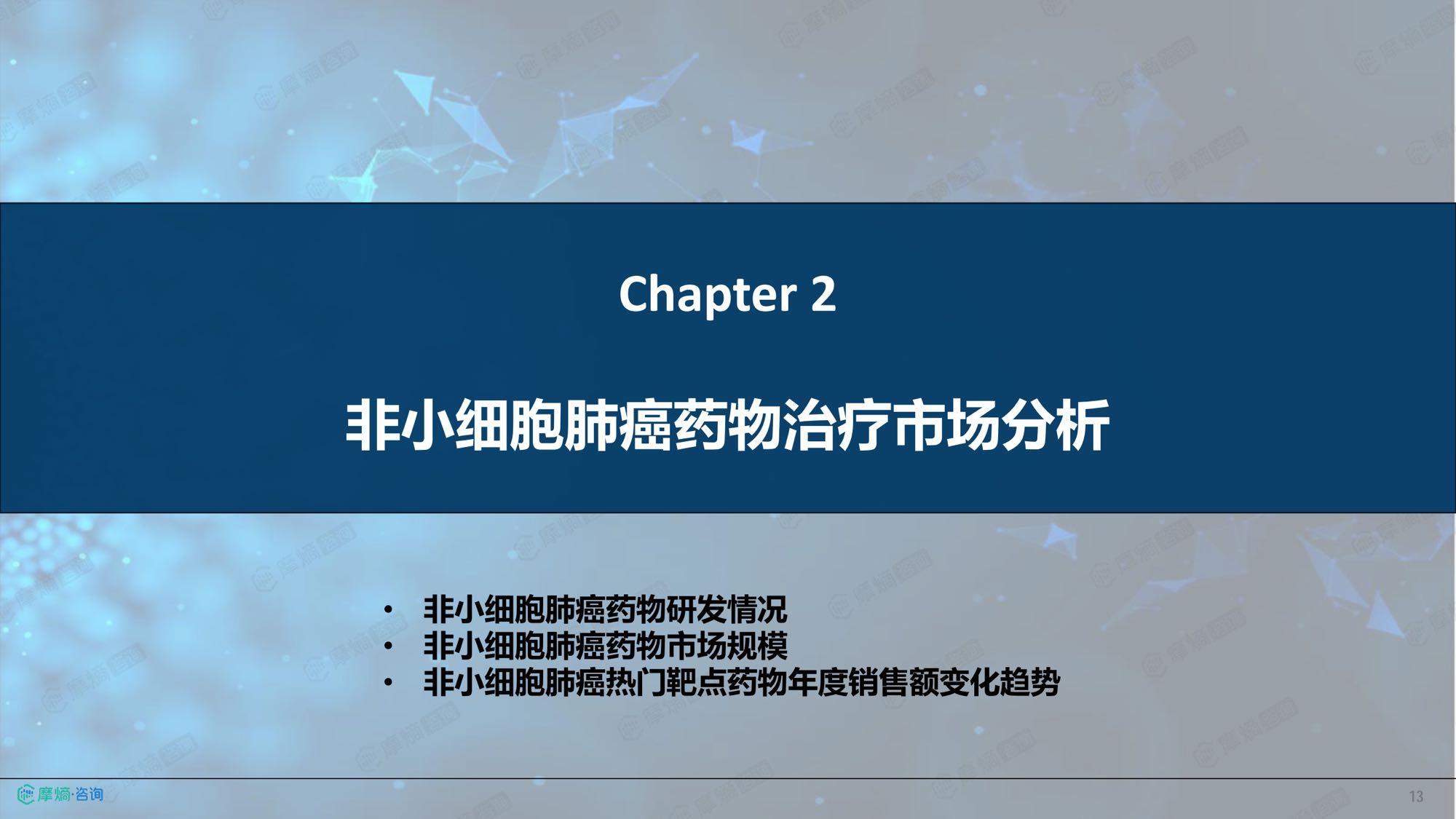 摩熵咨询2026年非小细胞肺癌流行病学趋势及热门靶点药物市场表现洞察报告38页.pdf