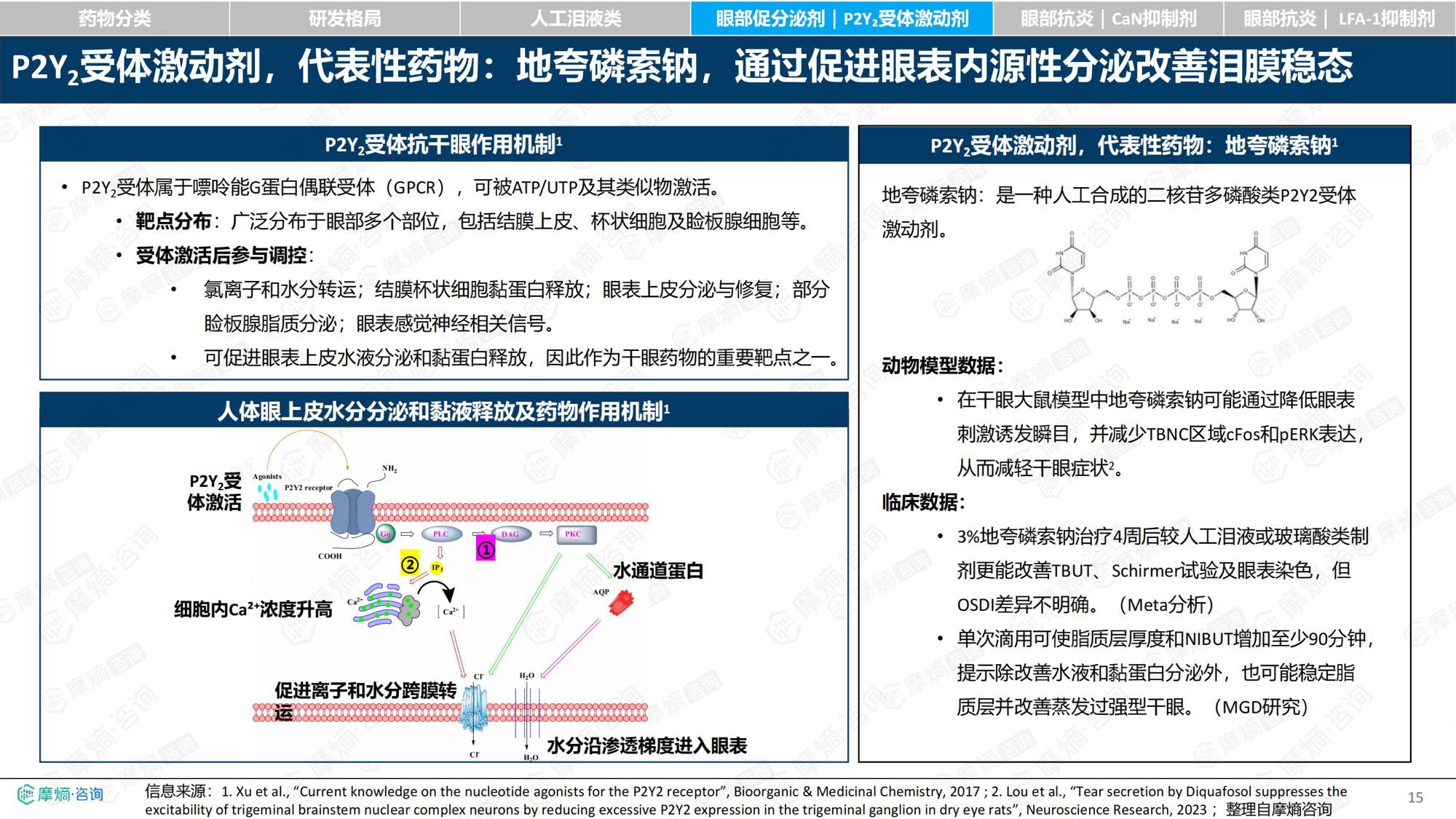 摩熵咨询2026年中国干眼眼部用药市场全景洞察报告30页.pdf