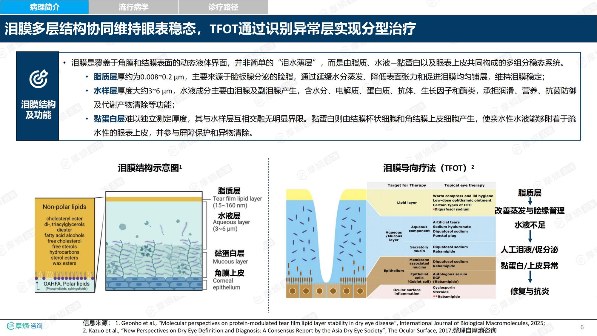 摩熵咨询2026年中国干眼眼部用药市场全景洞察报告30页.pdf