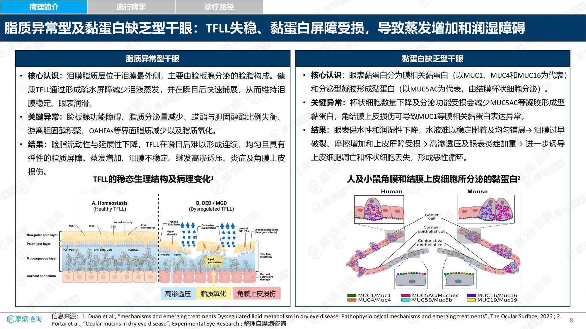 摩熵咨询2026年中国干眼眼部用药市场全景洞察报告30页.pdf