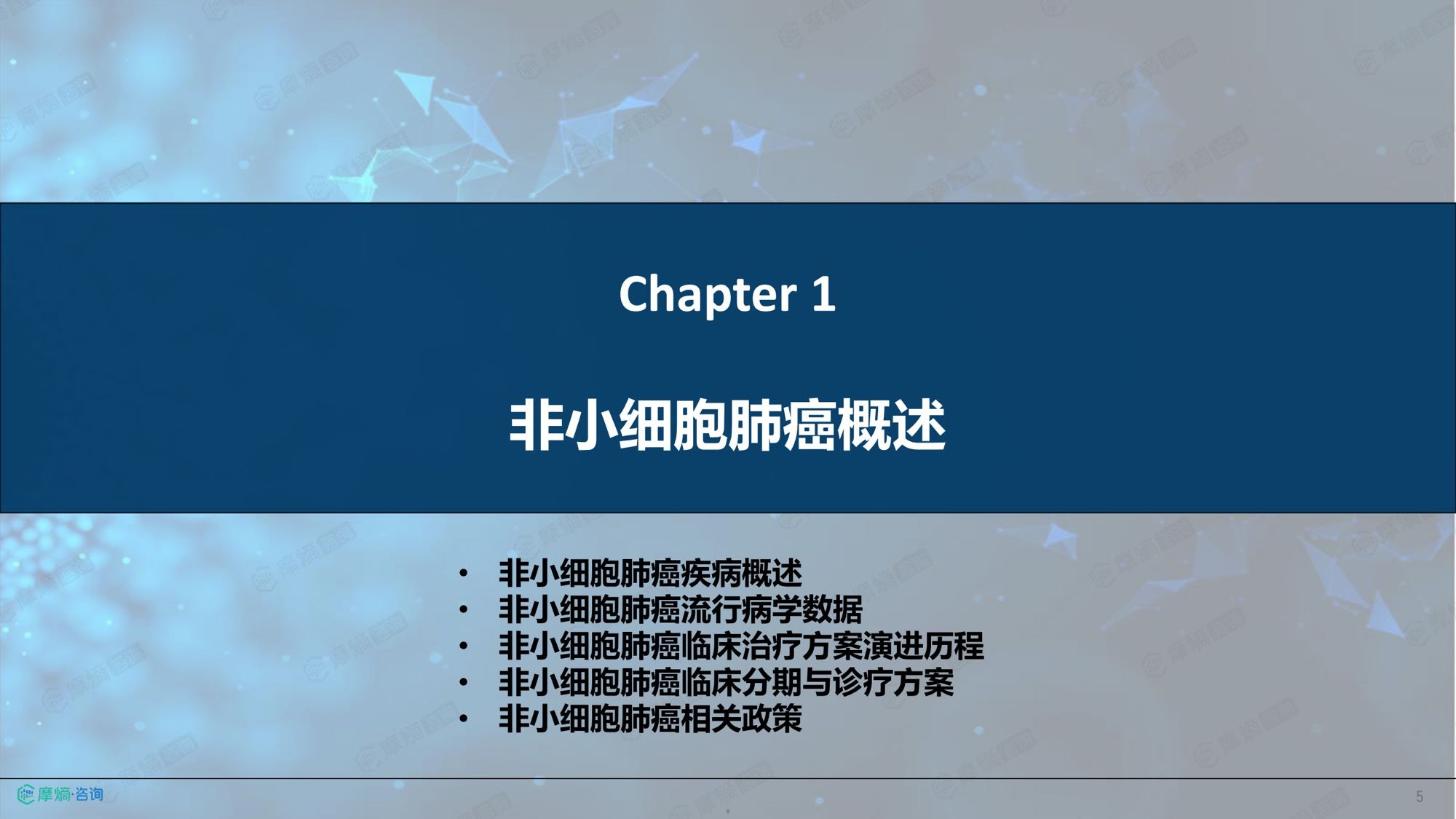 摩熵咨询2026年非小细胞肺癌流行病学趋势及热门靶点药物市场表现洞察报告38页.pdf
