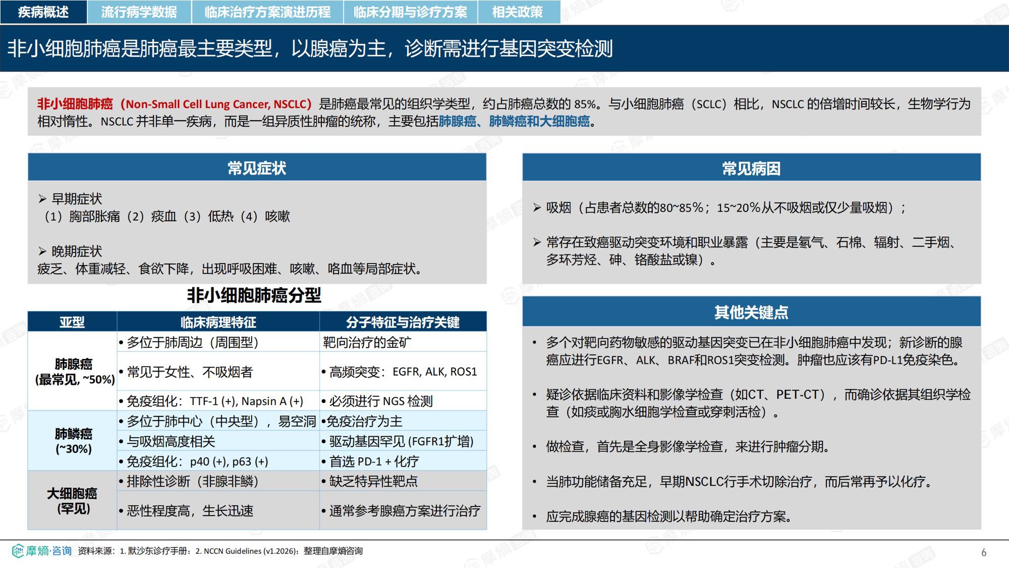 摩熵咨询2026年非小细胞肺癌流行病学趋势及热门靶点药物市场表现洞察报告38页.pdf