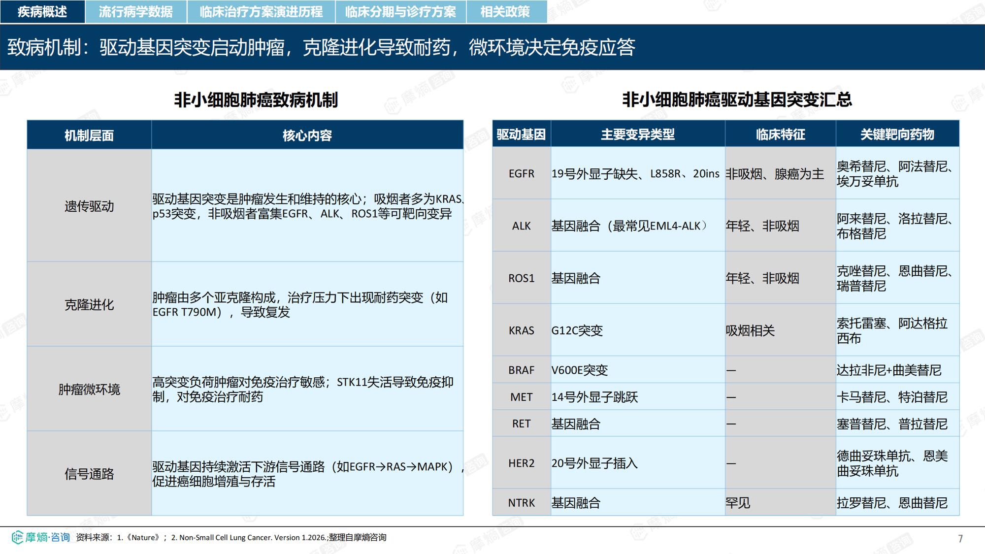 摩熵咨询2026年非小细胞肺癌流行病学趋势及热门靶点药物市场表现洞察报告38页.pdf