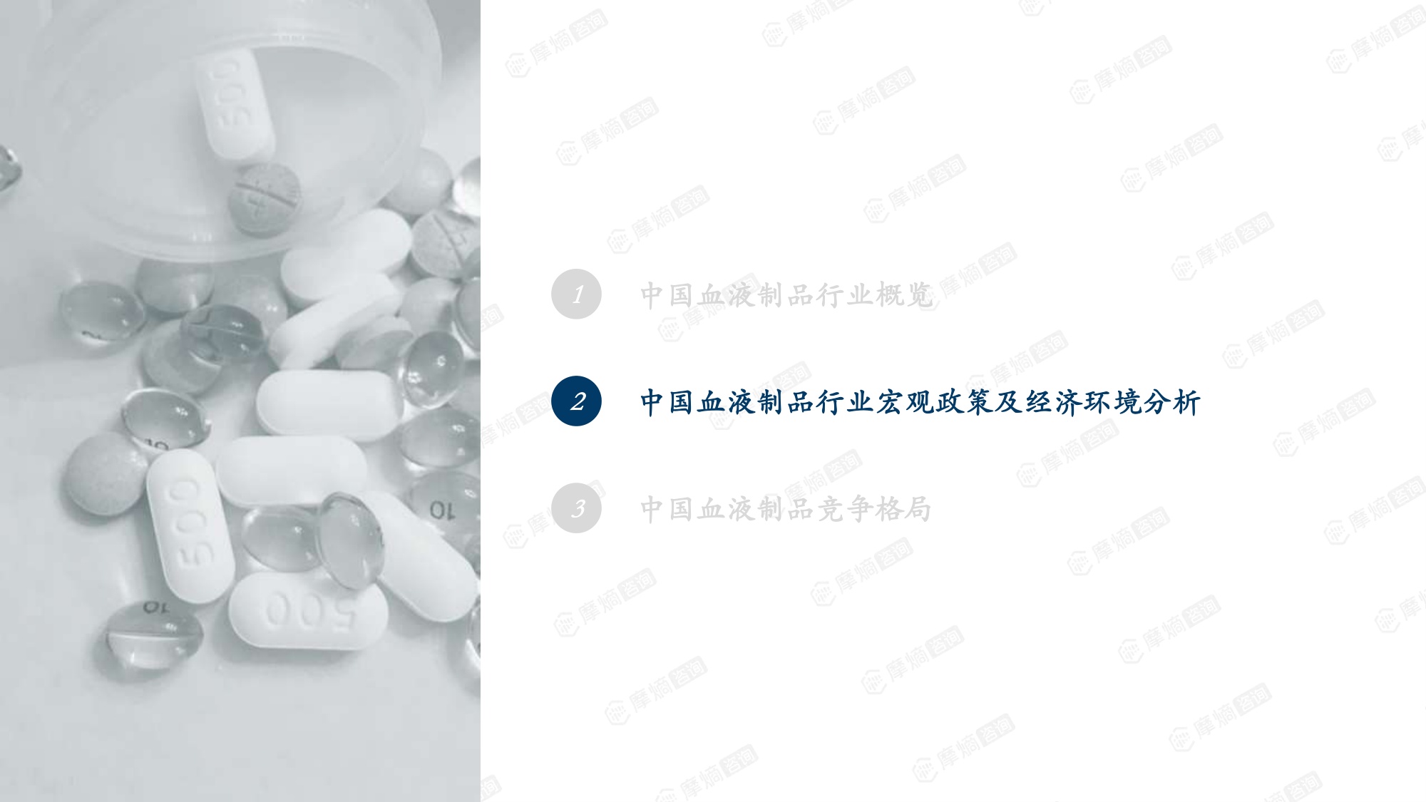 摩熵咨询中国血液制品行业研究报告202630页.pdf