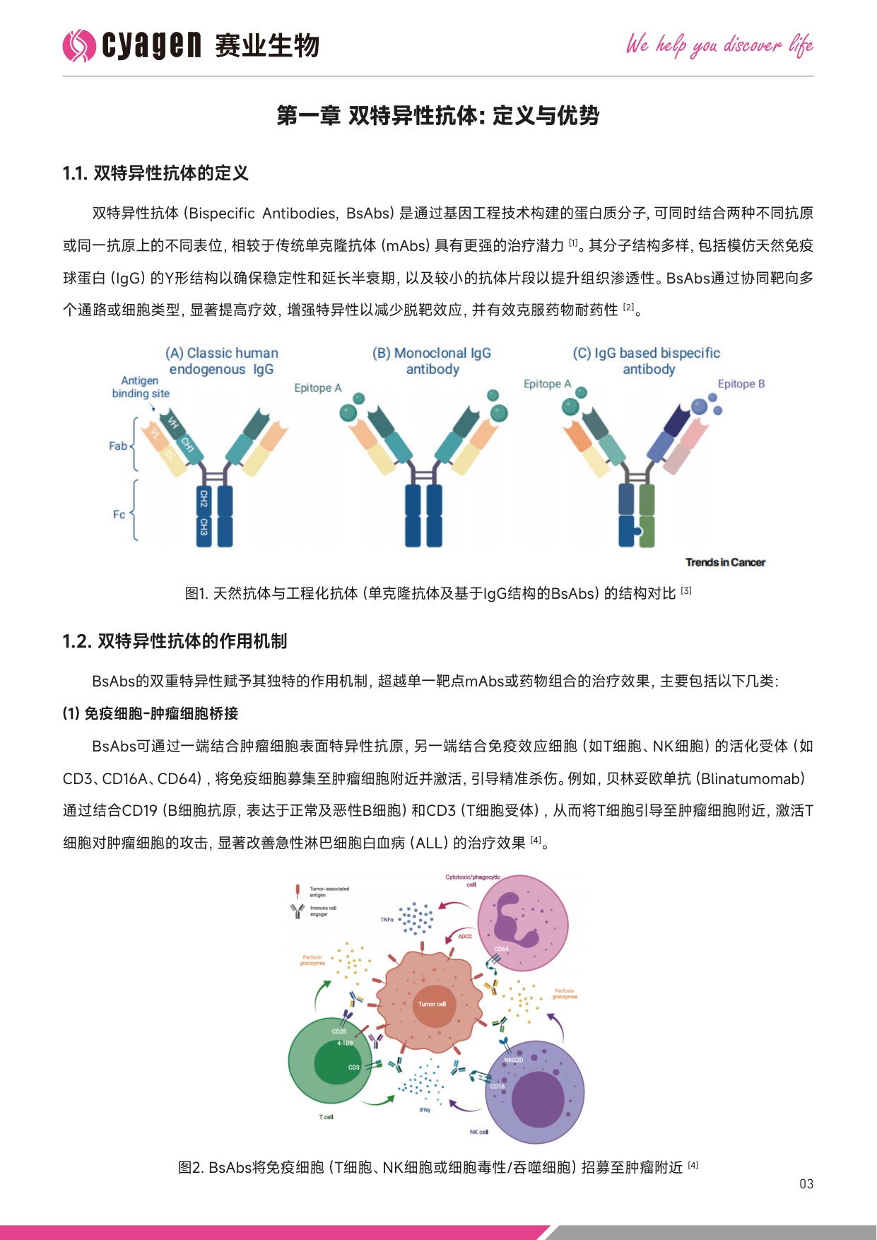 赛业生物OriCell2025中国双特异性抗体药物市场全景分析暨创新研发解决方案白皮书39页.pdf